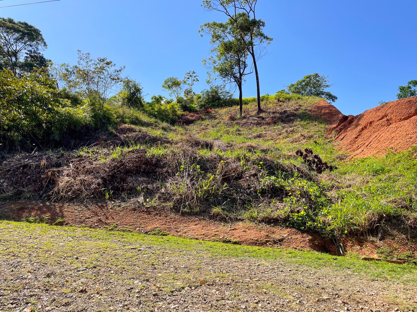 0 bed Land For Sale in Ojochal, Puntarenas - thumb 2