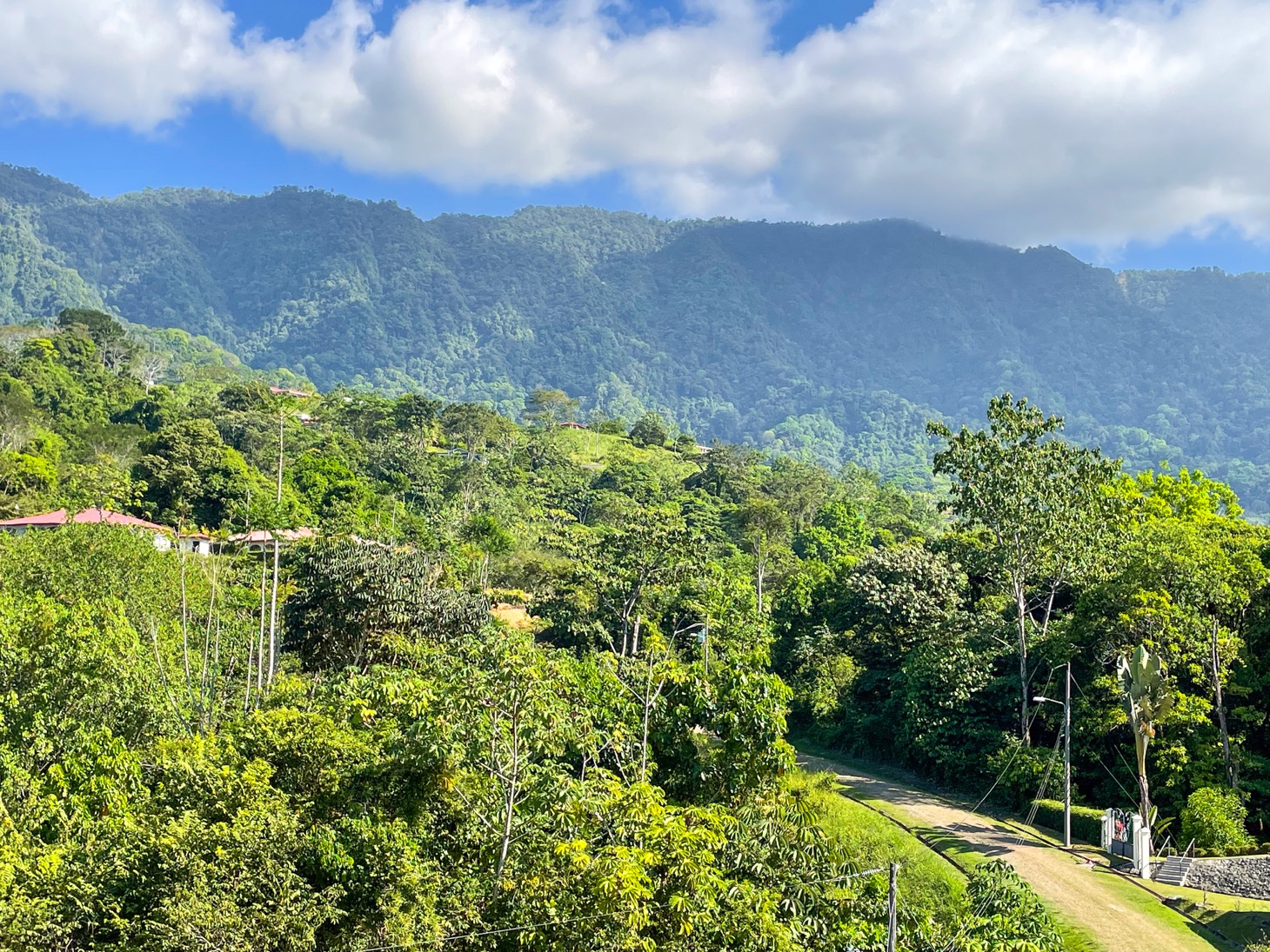 0 bed Land For Sale in Ojochal, Puntarenas - thumb 3