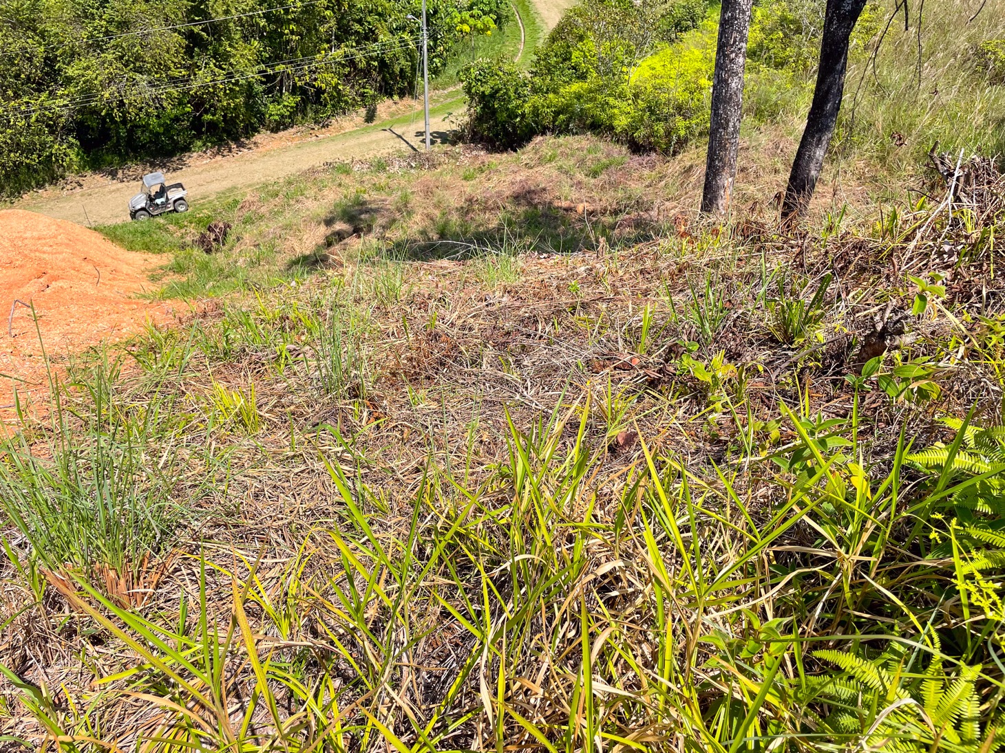 0 bed Land For Sale in Ojochal, Puntarenas - thumb 7