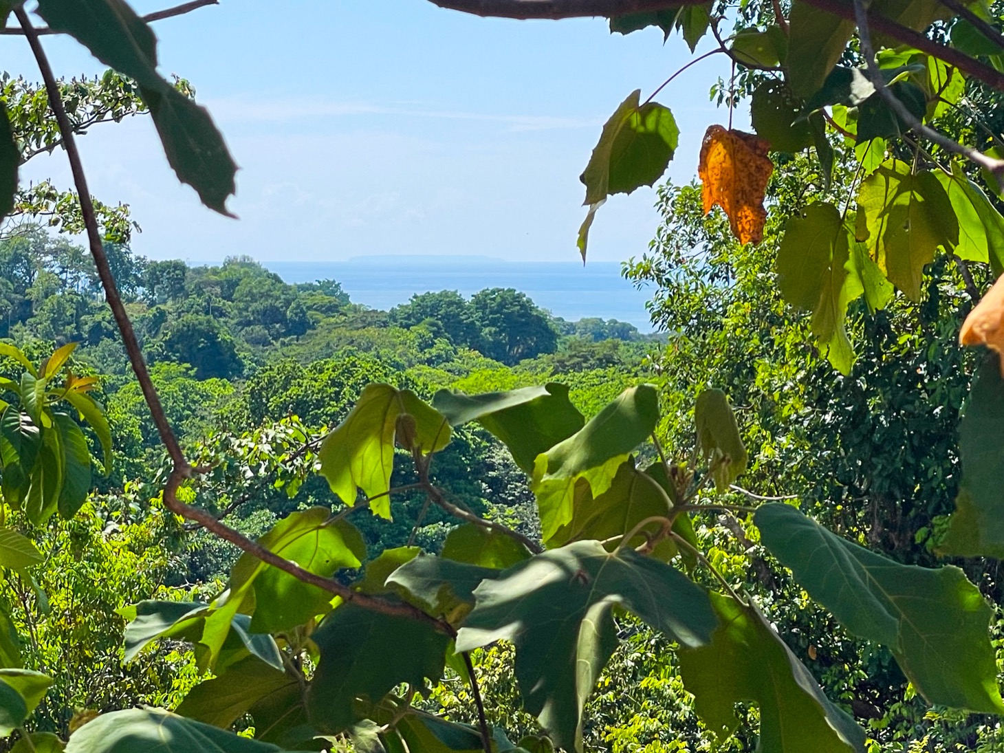 0 bed Land For Sale in Ojochal, Puntarenas - thumb 4
