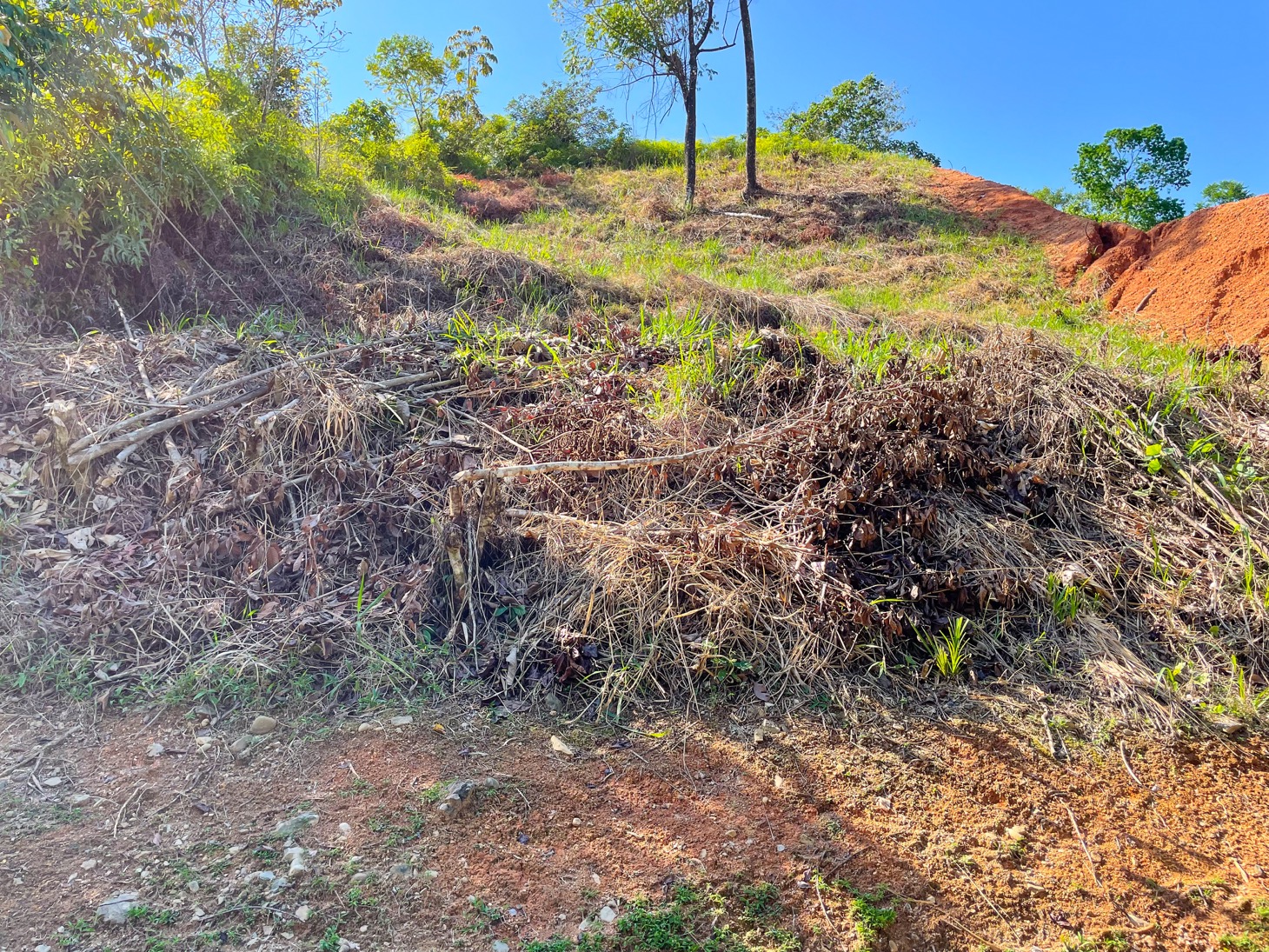 0 bed Land For Sale in Ojochal, Puntarenas - thumb 5