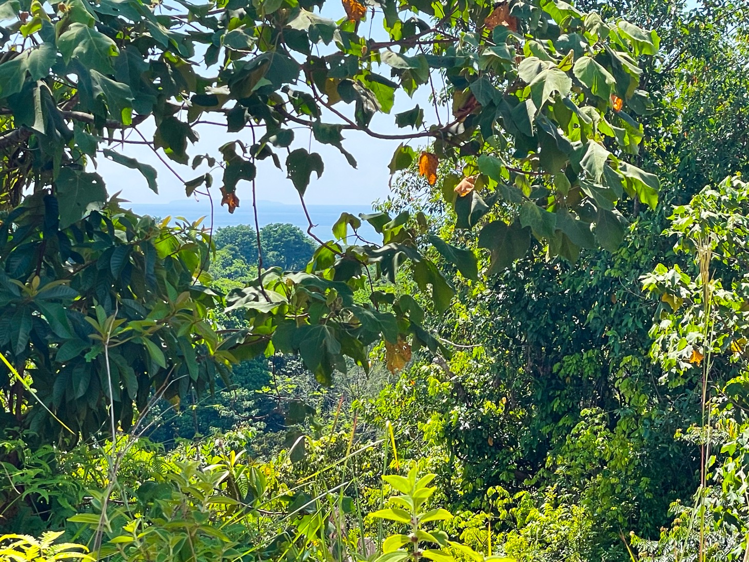 0 bed Land For Sale in Ojochal, Puntarenas - thumb 10