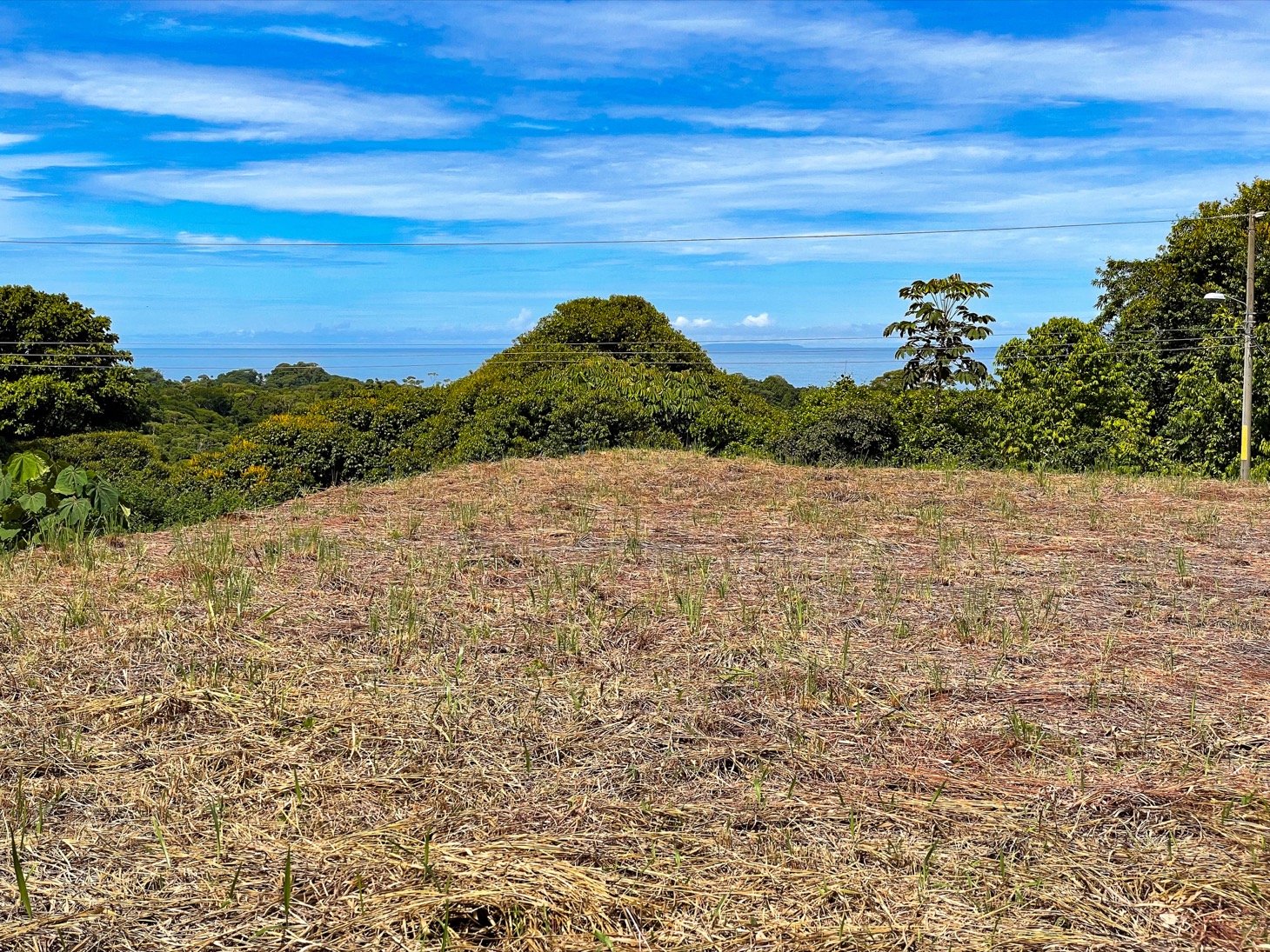 0 bed Land For Sale in Ojochal, Puntarenas - thumb 9