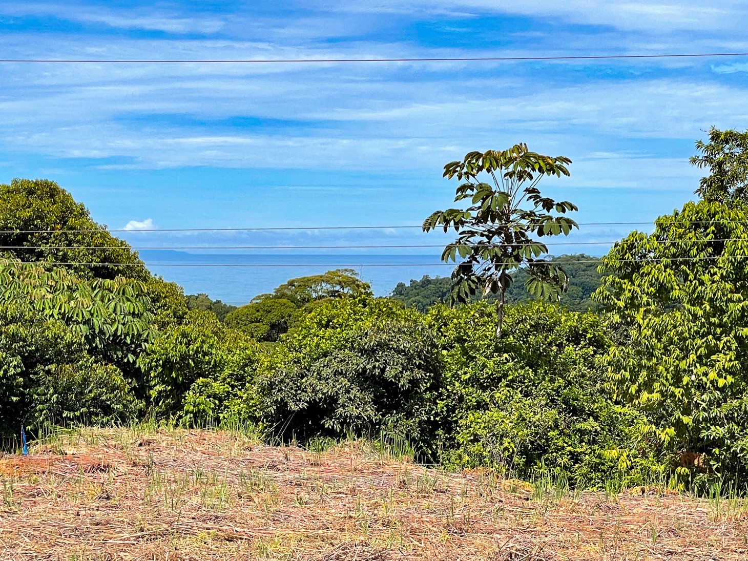 0 bed Land For Sale in Ojochal, Puntarenas - thumb 6