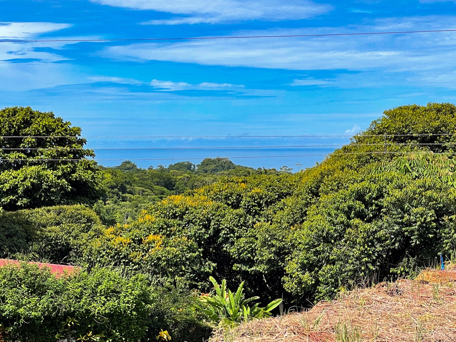 0 bed Land For Sale in Ojochal, Puntarenas - thumb 1