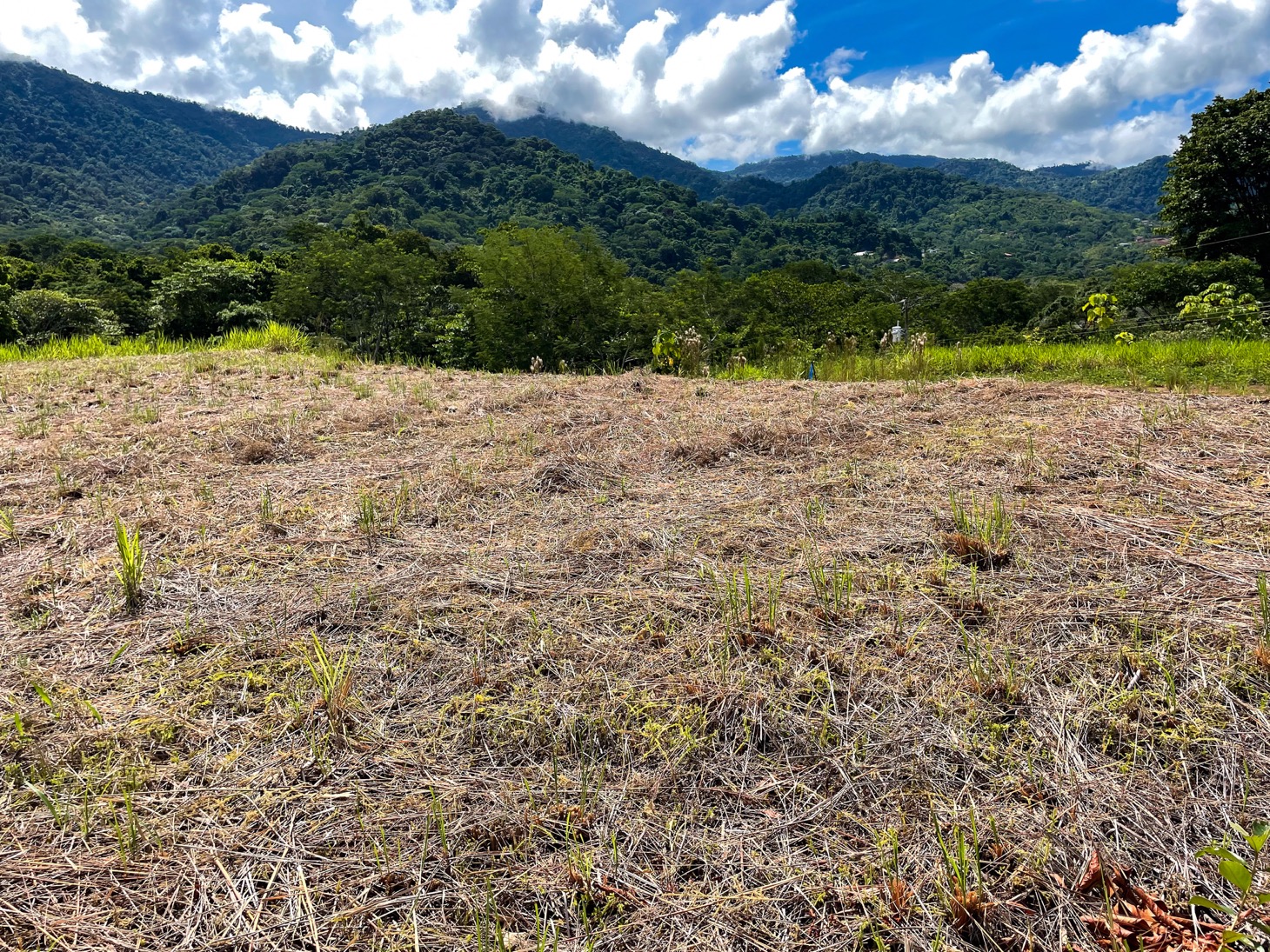 0 bed Land For Sale in Ojochal, Puntarenas - thumb 11