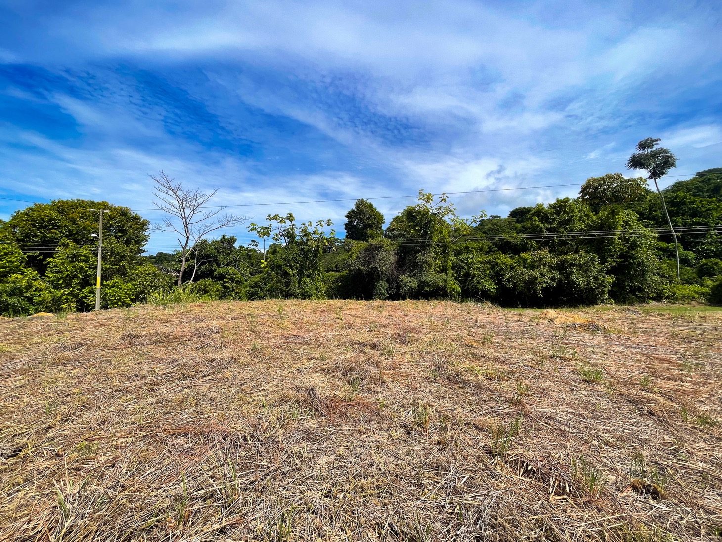 0 bed Land For Sale in Ojochal, Puntarenas - thumb 13