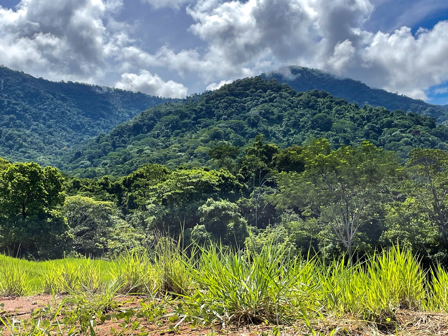 0 bed Land For Sale in Ojochal, Puntarenas - thumb 5