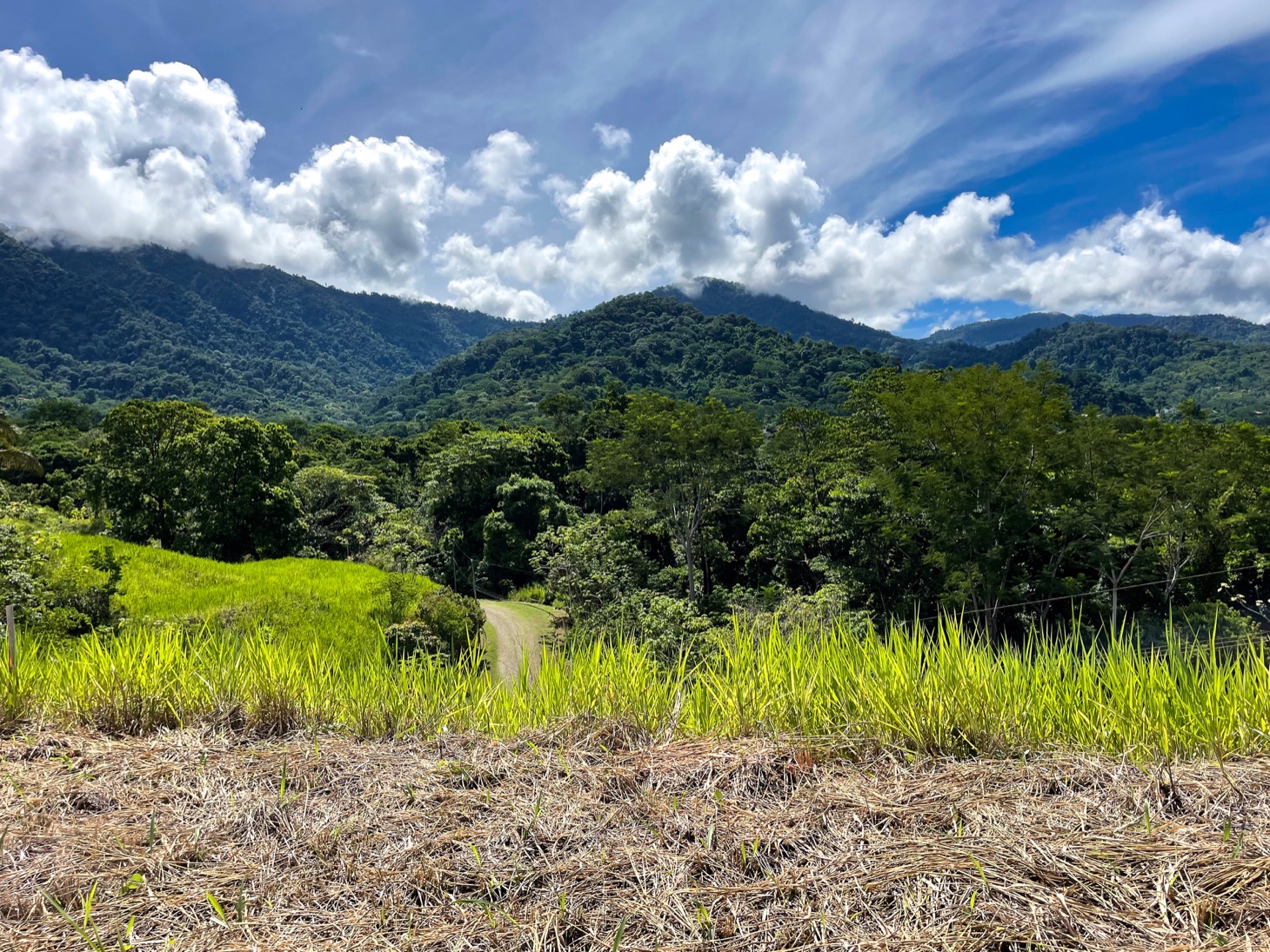 0 bed Land For Sale in Ojochal, Puntarenas - thumb 3