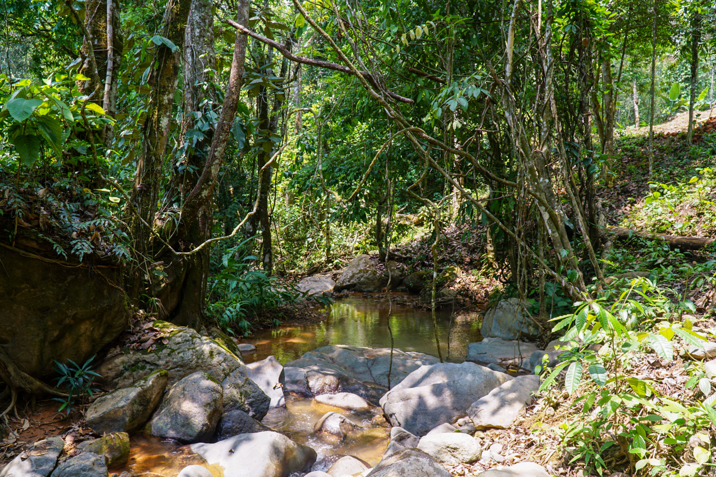 3 bed Single Family Homes For Sale in Perez Zeledon, San Jose - thumb 29