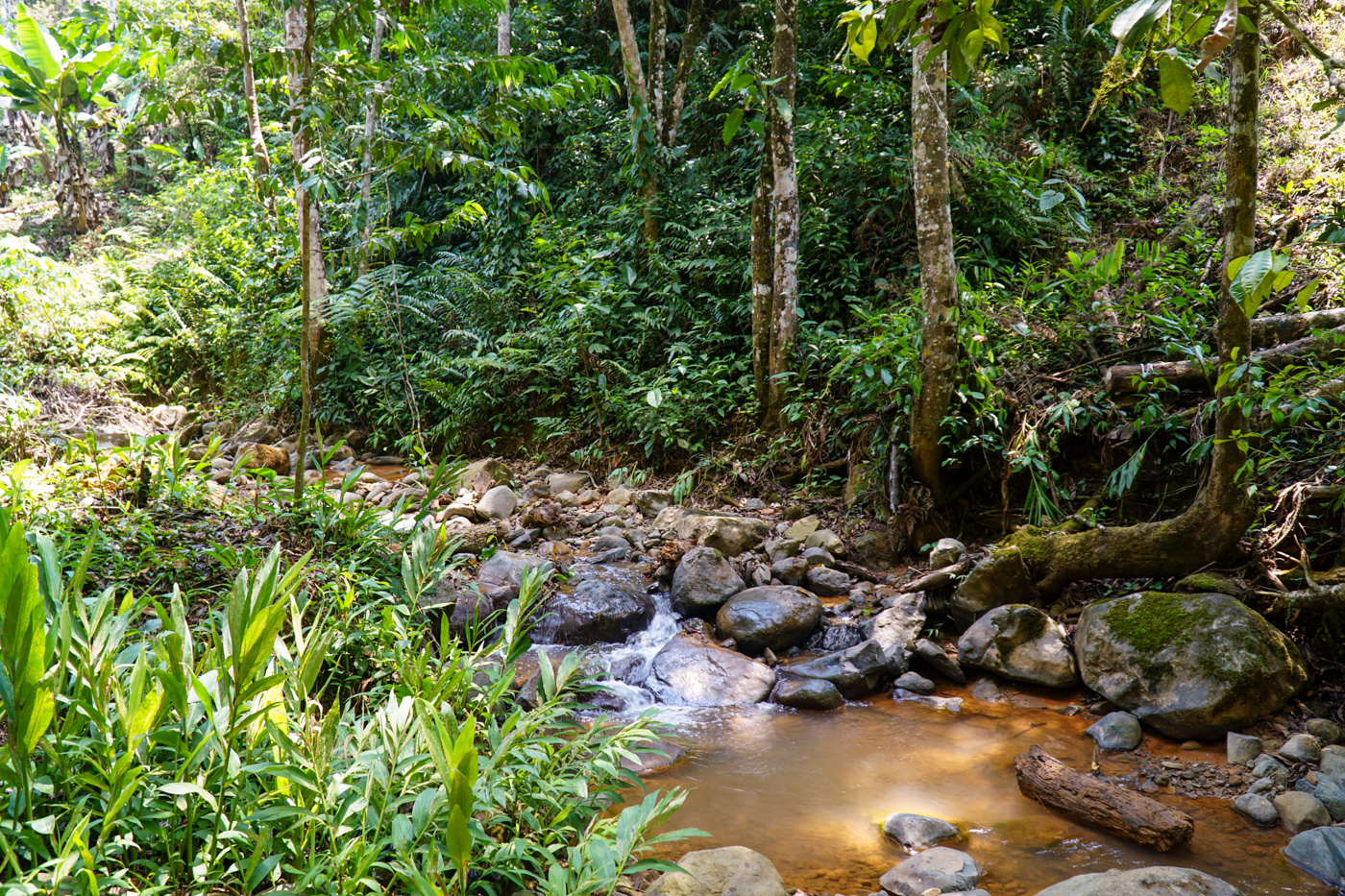 3 bed Single Family Homes For Sale in Perez Zeledon, San Jose - thumb 28