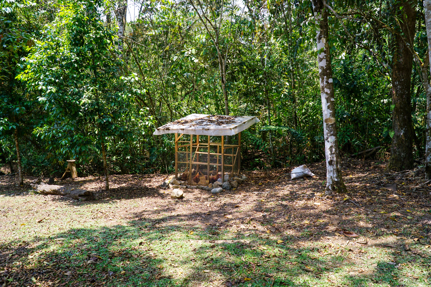 3 bed Single Family Homes For Sale in Perez Zeledon, San Jose - thumb 24