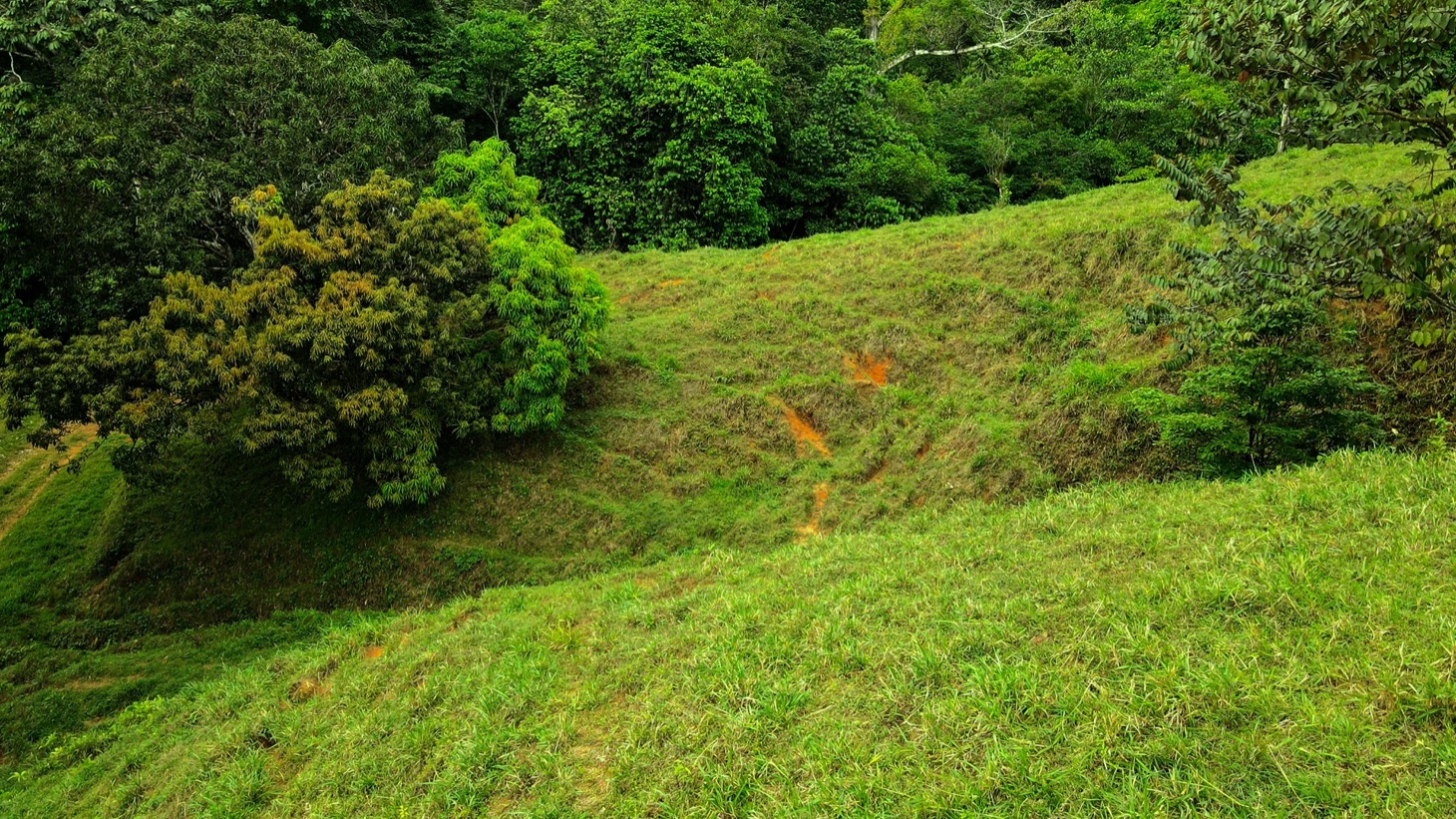 0 bed Land For Sale in Ojochal, Puntarenas - thumb 21