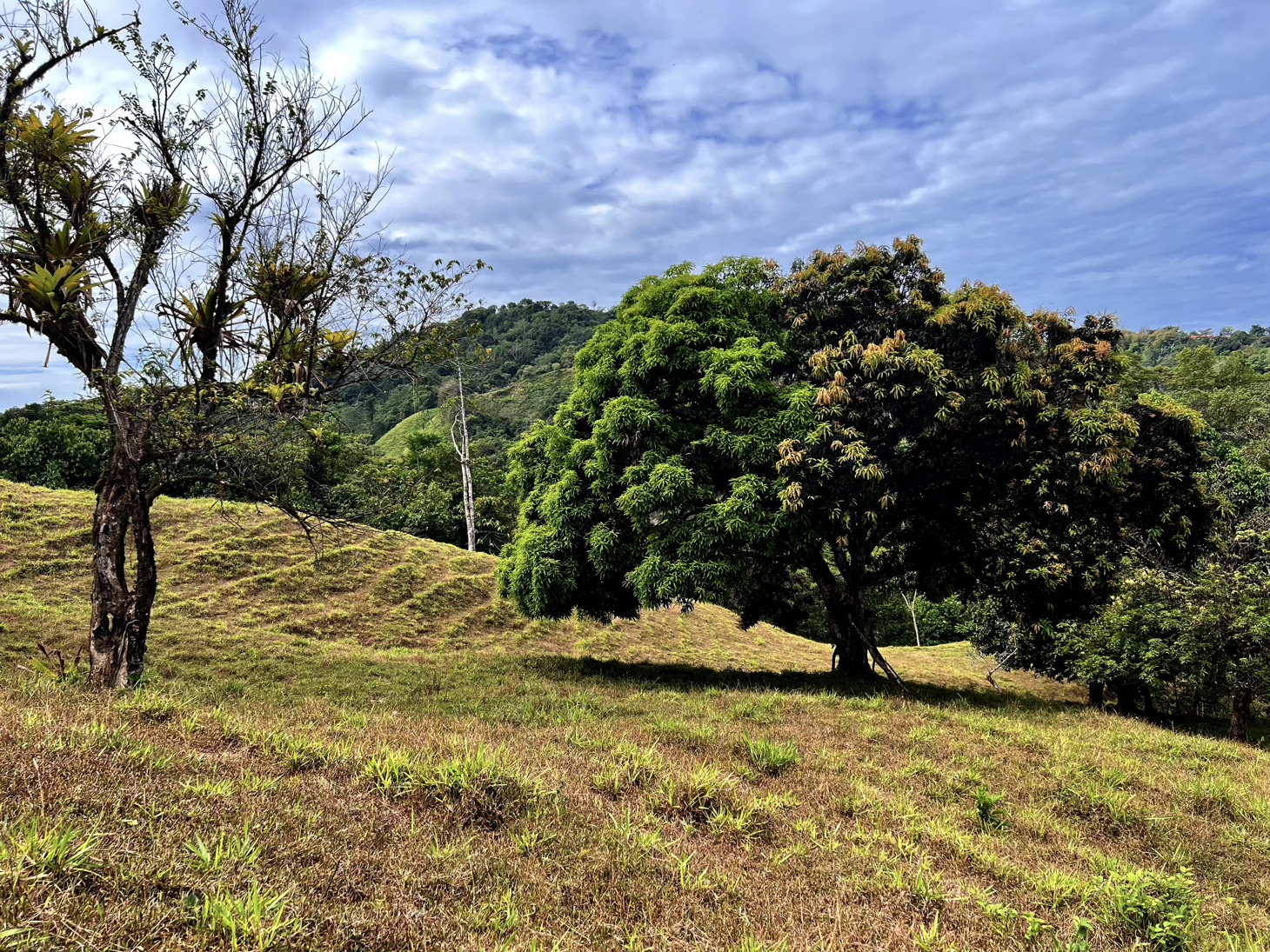 0 bed Land For Sale in Ojochal, Puntarenas - thumb 4