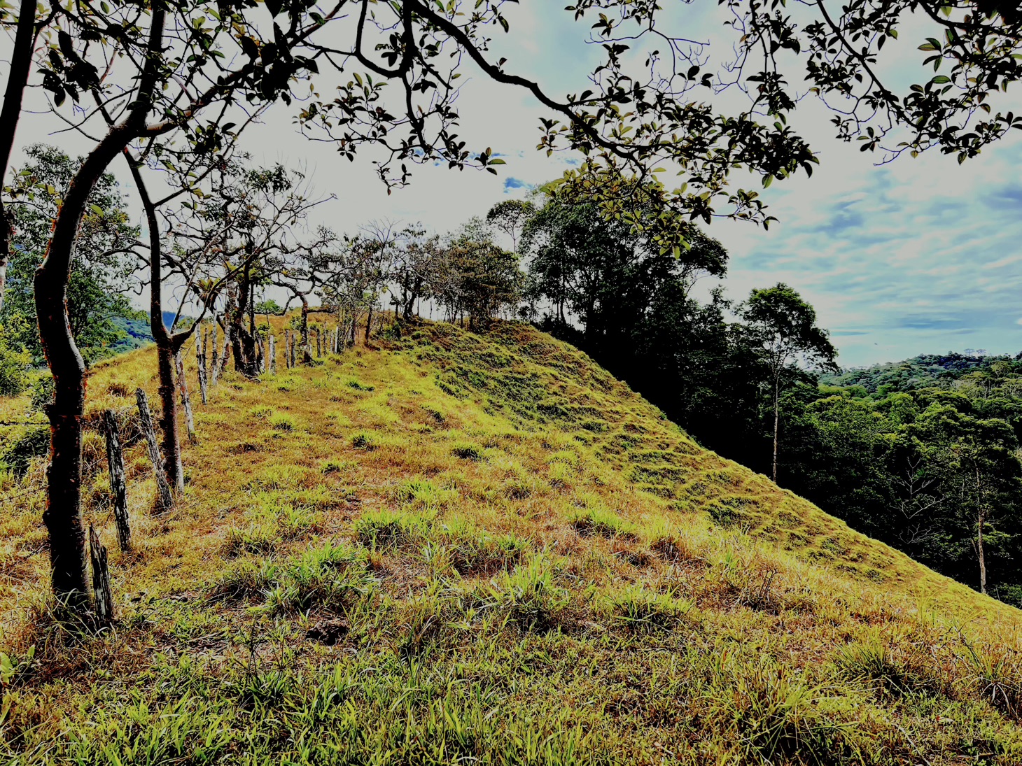 0 bed Land For Sale in Ojochal, Puntarenas - thumb 11