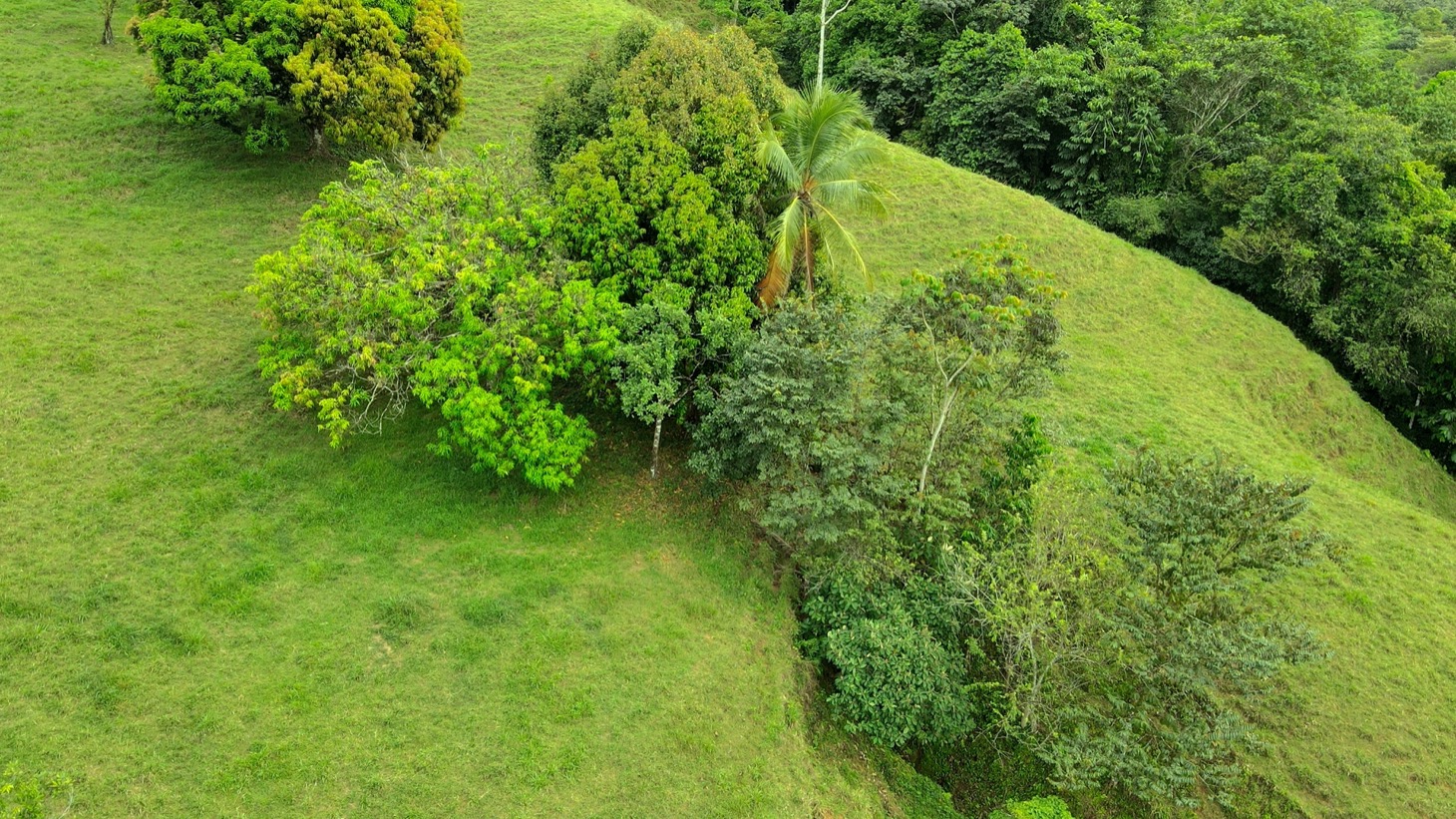 0 bed Land For Sale in Ojochal, Puntarenas - thumb 20