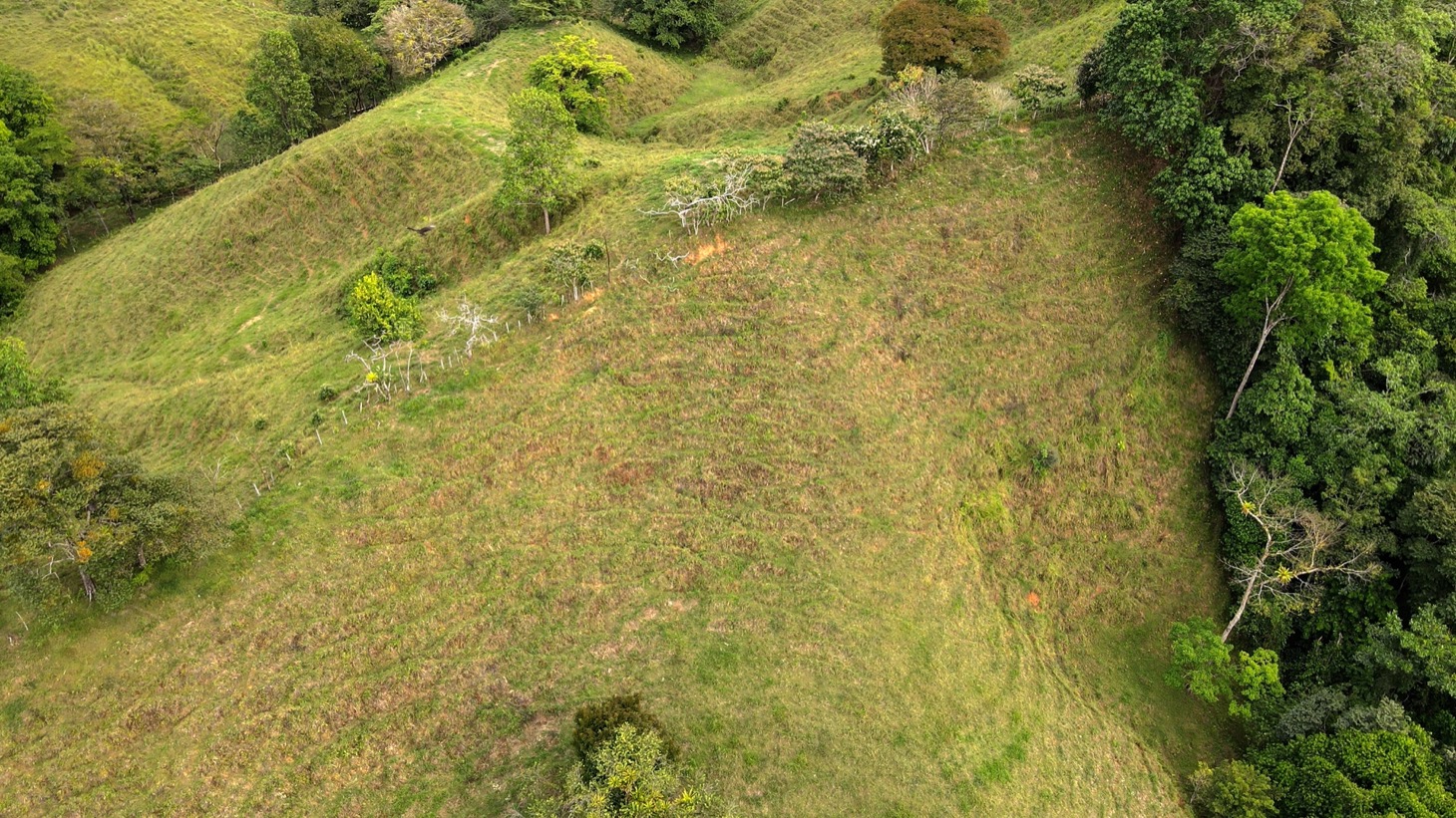 0 bed Land For Sale in Ojochal, Puntarenas - thumb 15