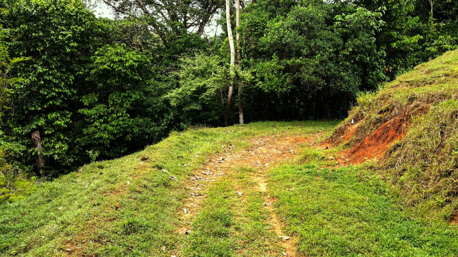 0 bed Land For Sale in Ojochal, Puntarenas - thumb 23