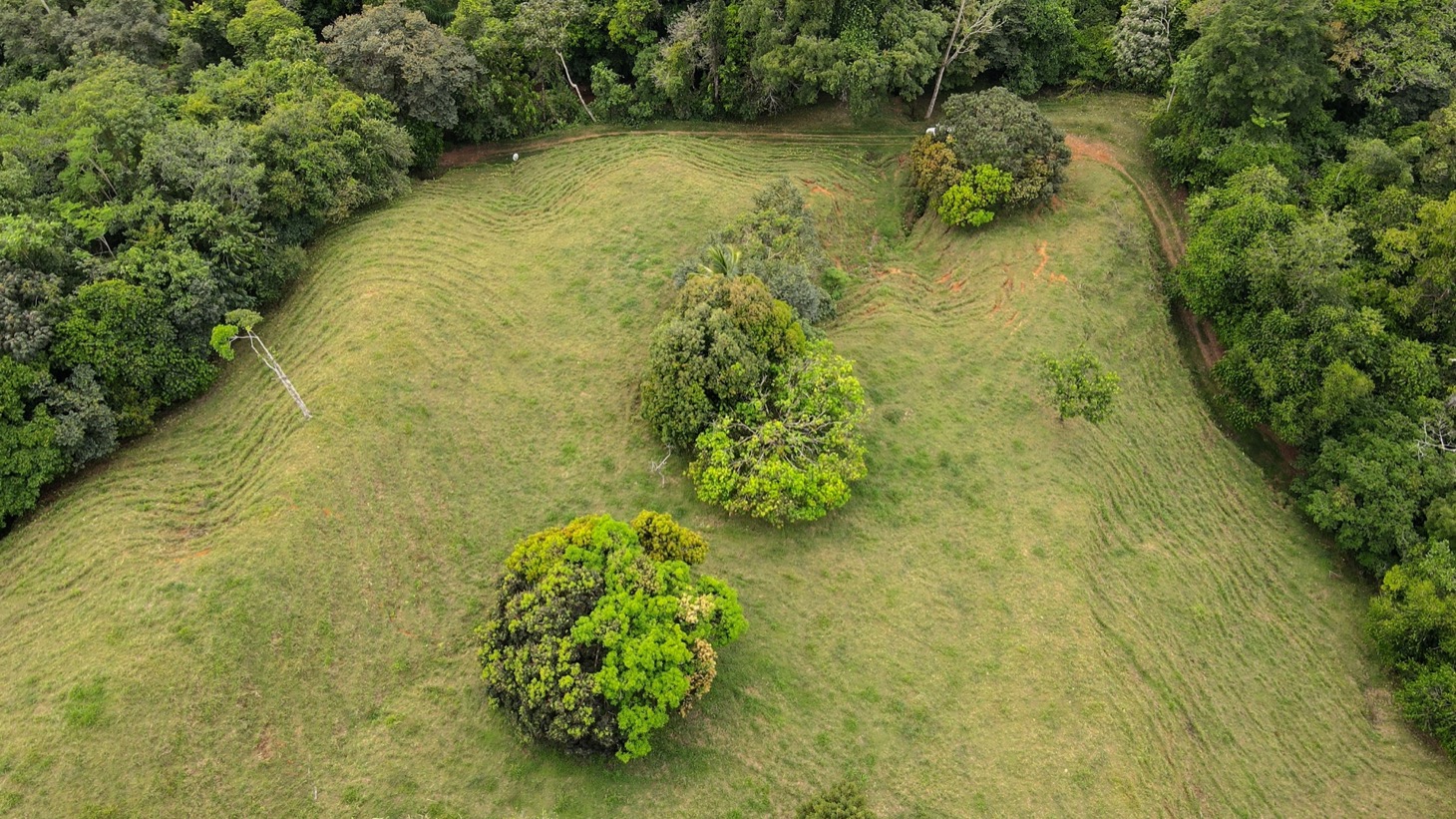 0 bed Land For Sale in Ojochal, Puntarenas - thumb 17