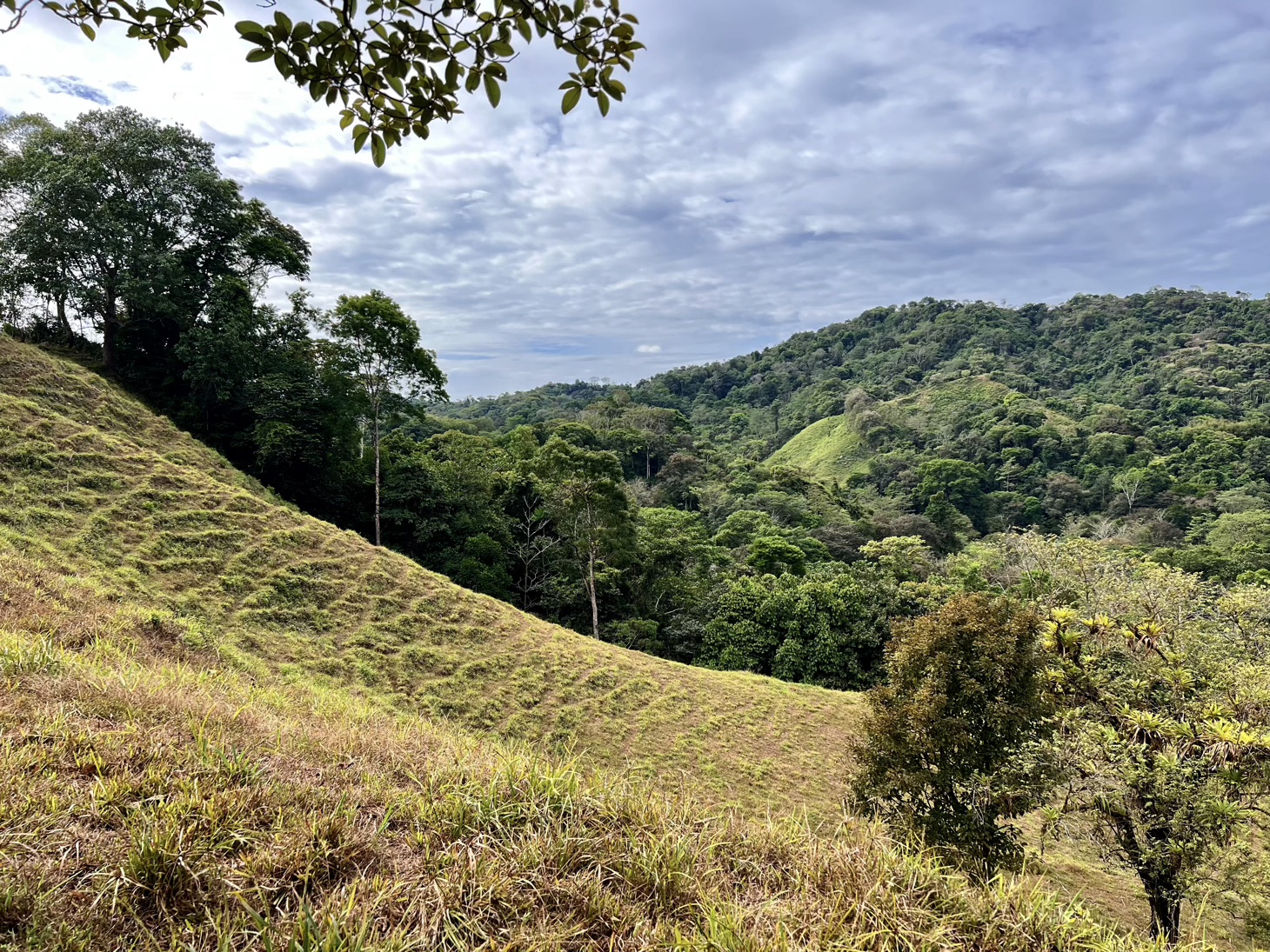 0 bed Land For Sale in Ojochal, Puntarenas - thumb 3