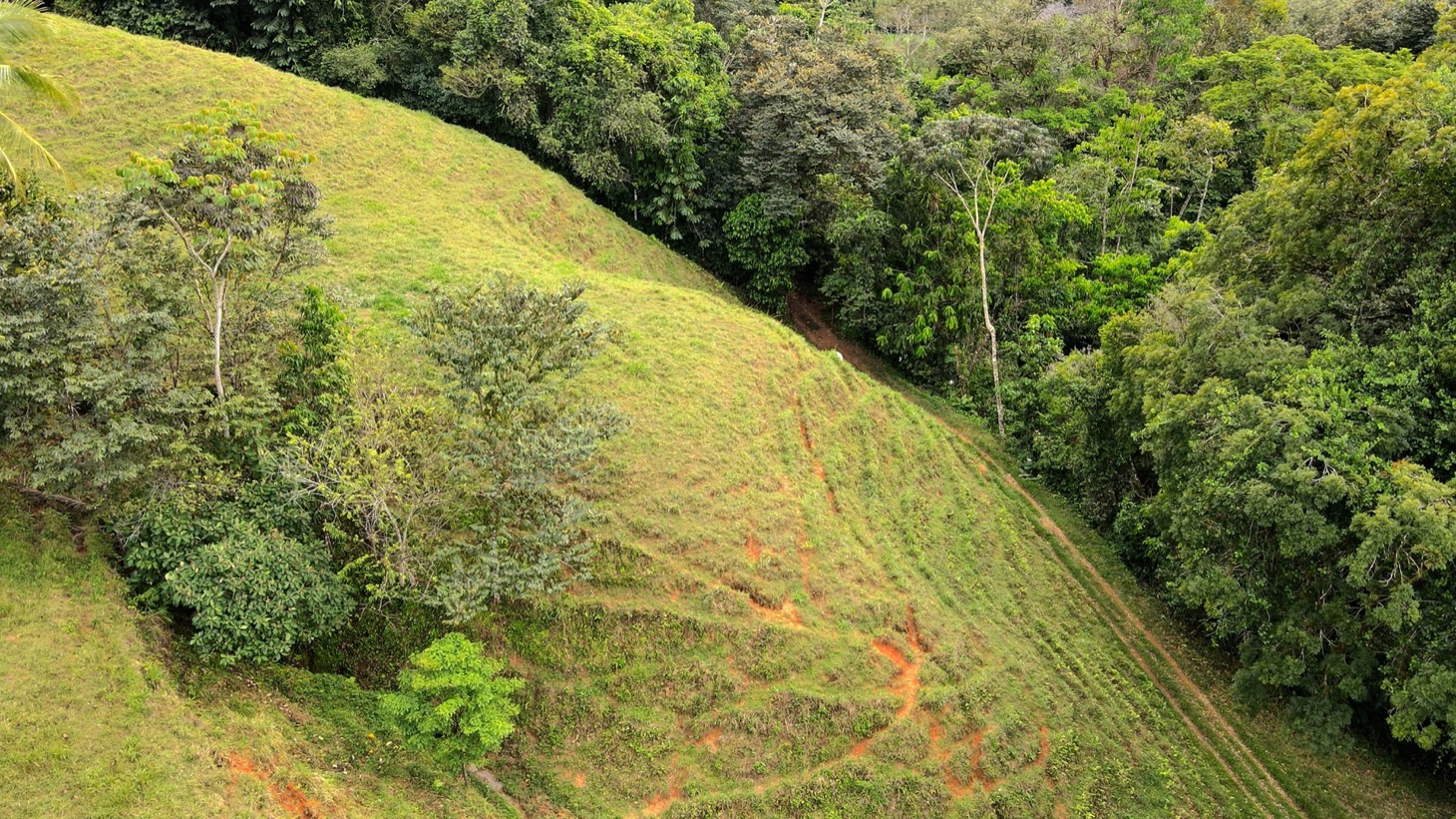 0 bed Land For Sale in Ojochal, Puntarenas - thumb 19