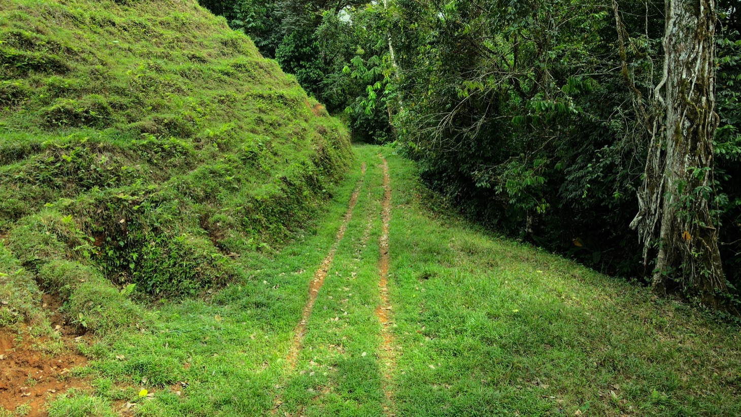 0 bed Land For Sale in Ojochal, Puntarenas - thumb 24