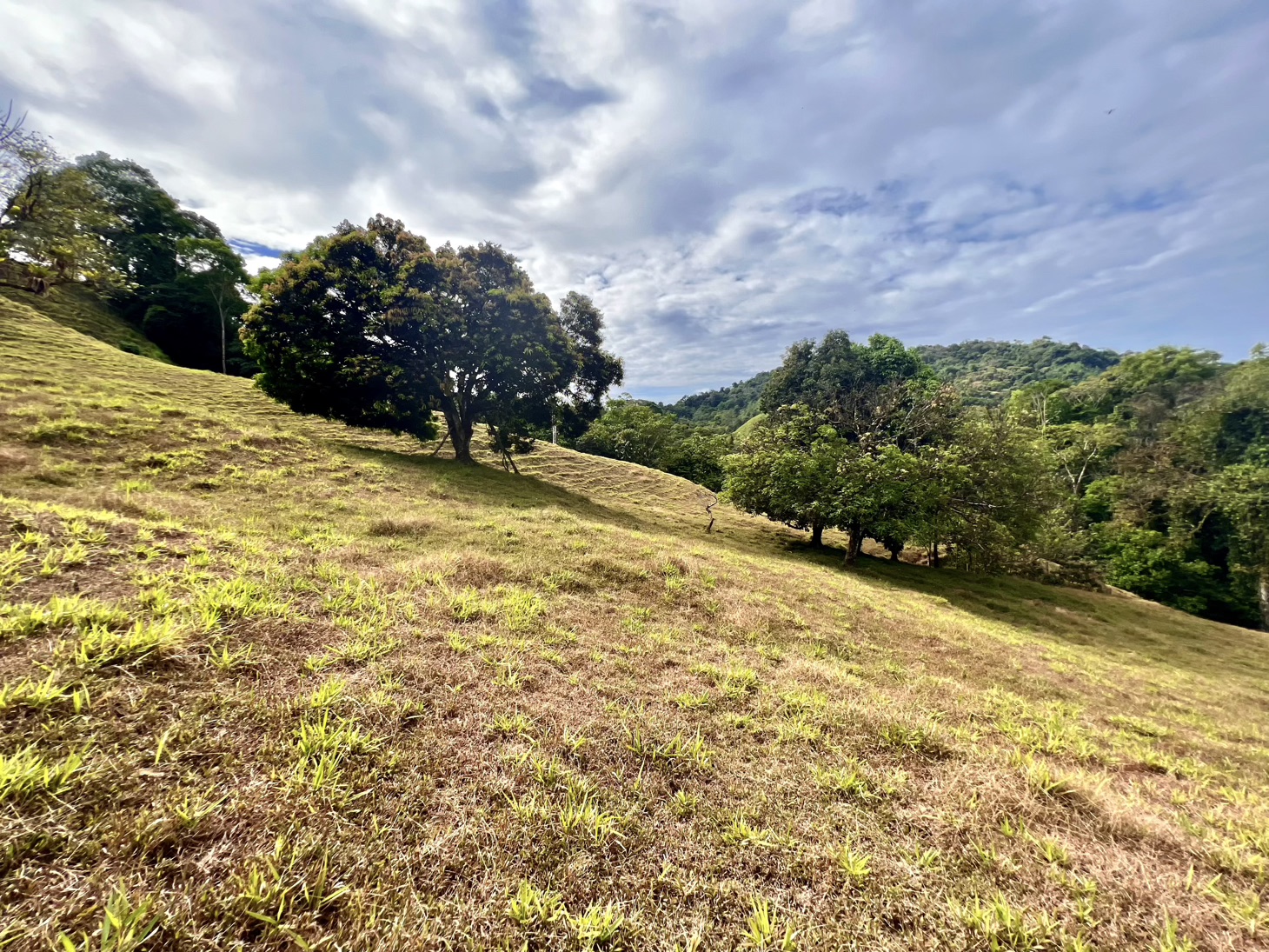 0 bed Land For Sale in Ojochal, Puntarenas - thumb 10