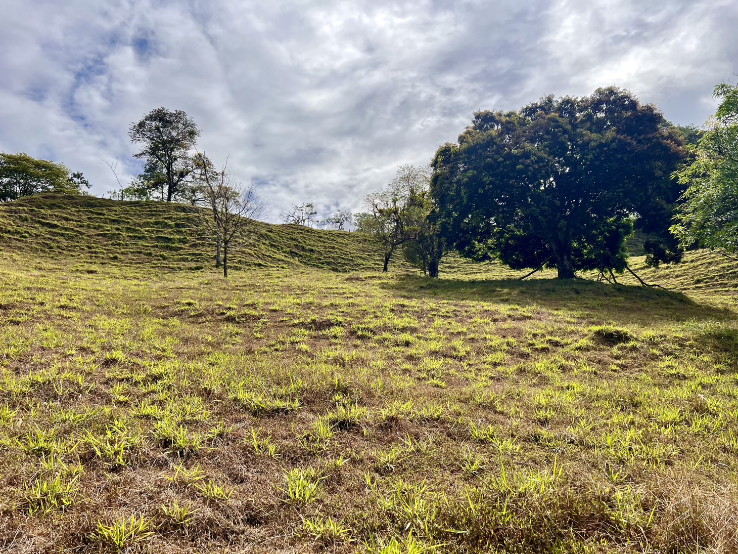 0 bed Land For Sale in Ojochal, Puntarenas - thumb 9