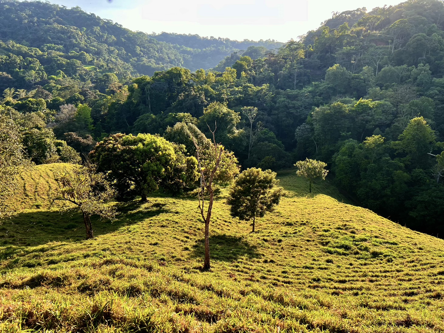 0 bed Land For Sale in Ojochal, Puntarenas - thumb 7