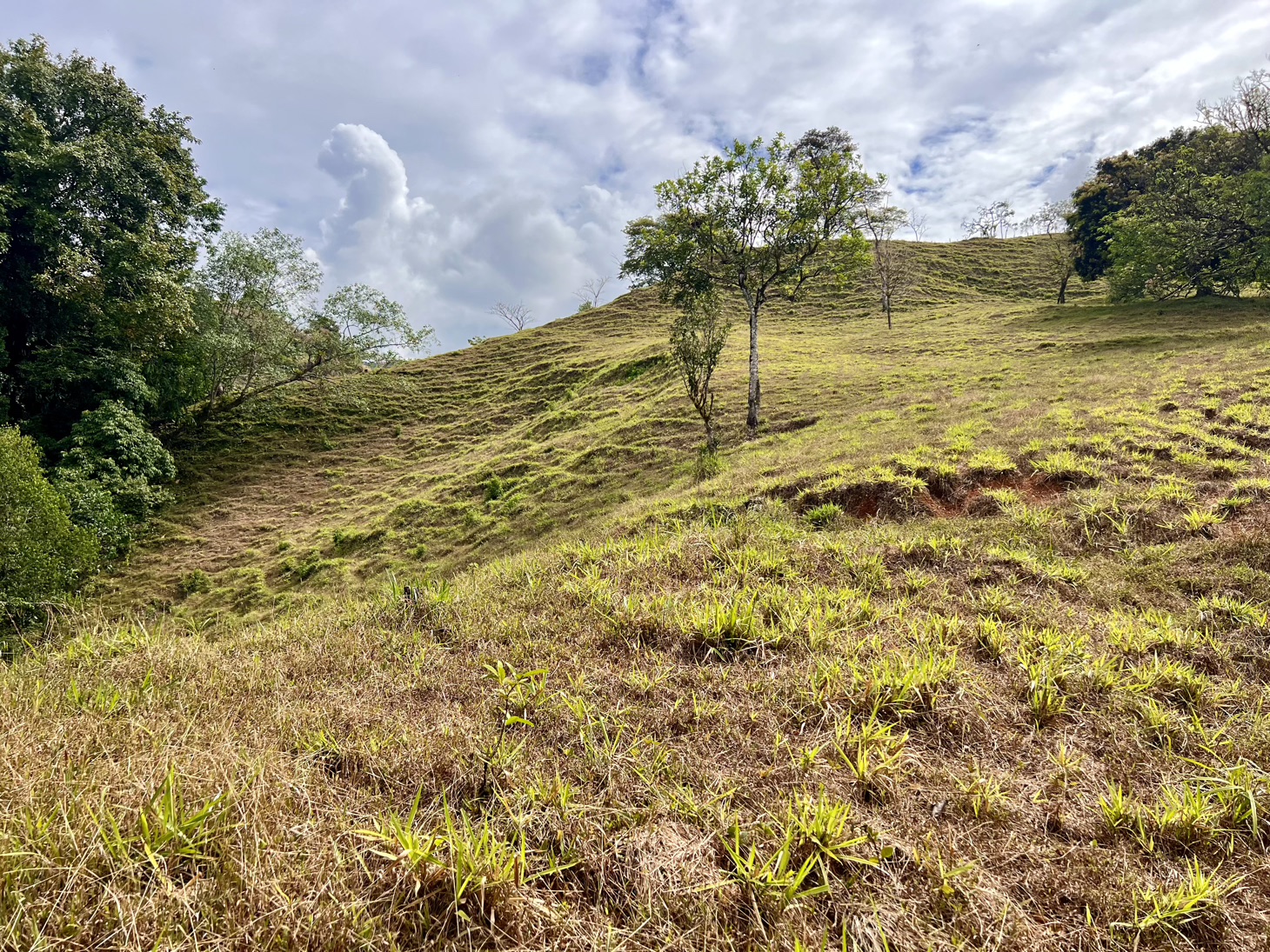 0 bed Land For Sale in Ojochal, Puntarenas - thumb 8