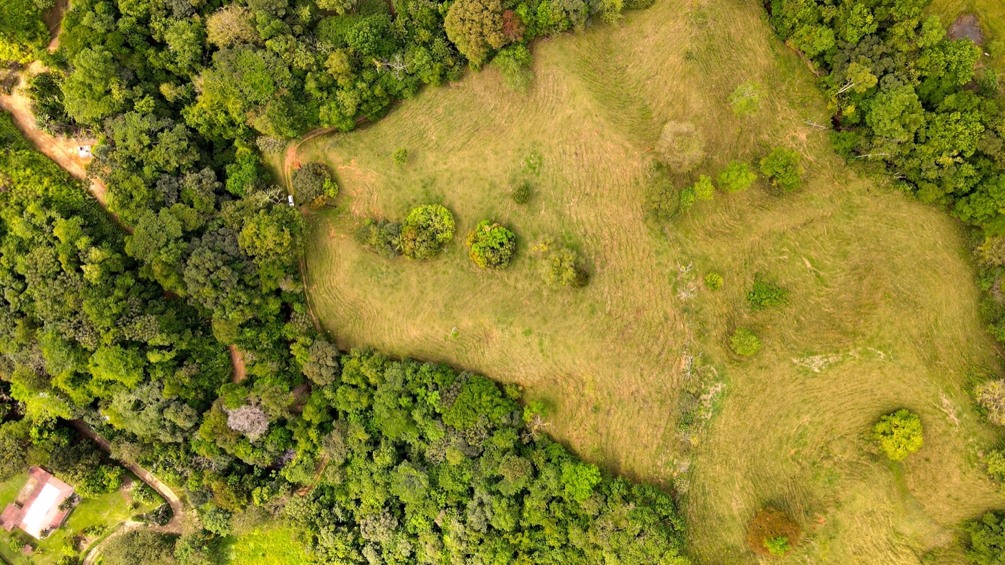 0 bed Land For Sale in Ojochal, Puntarenas - thumb 25