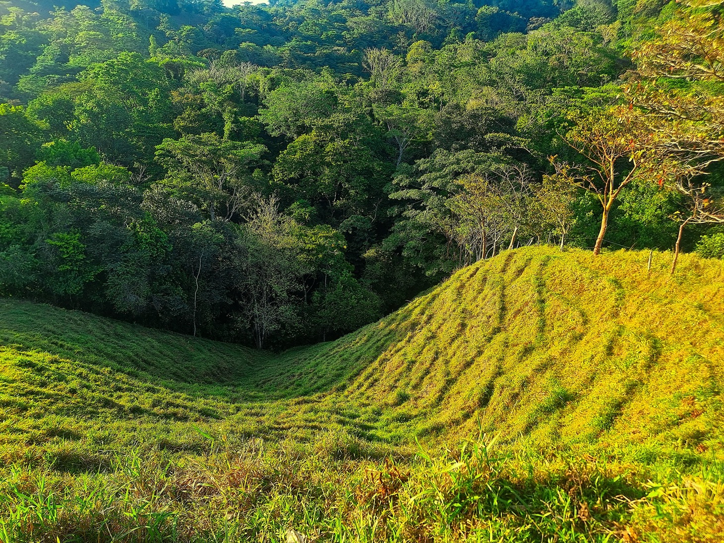 0 bed Land For Sale in Ojochal, Puntarenas - thumb 12