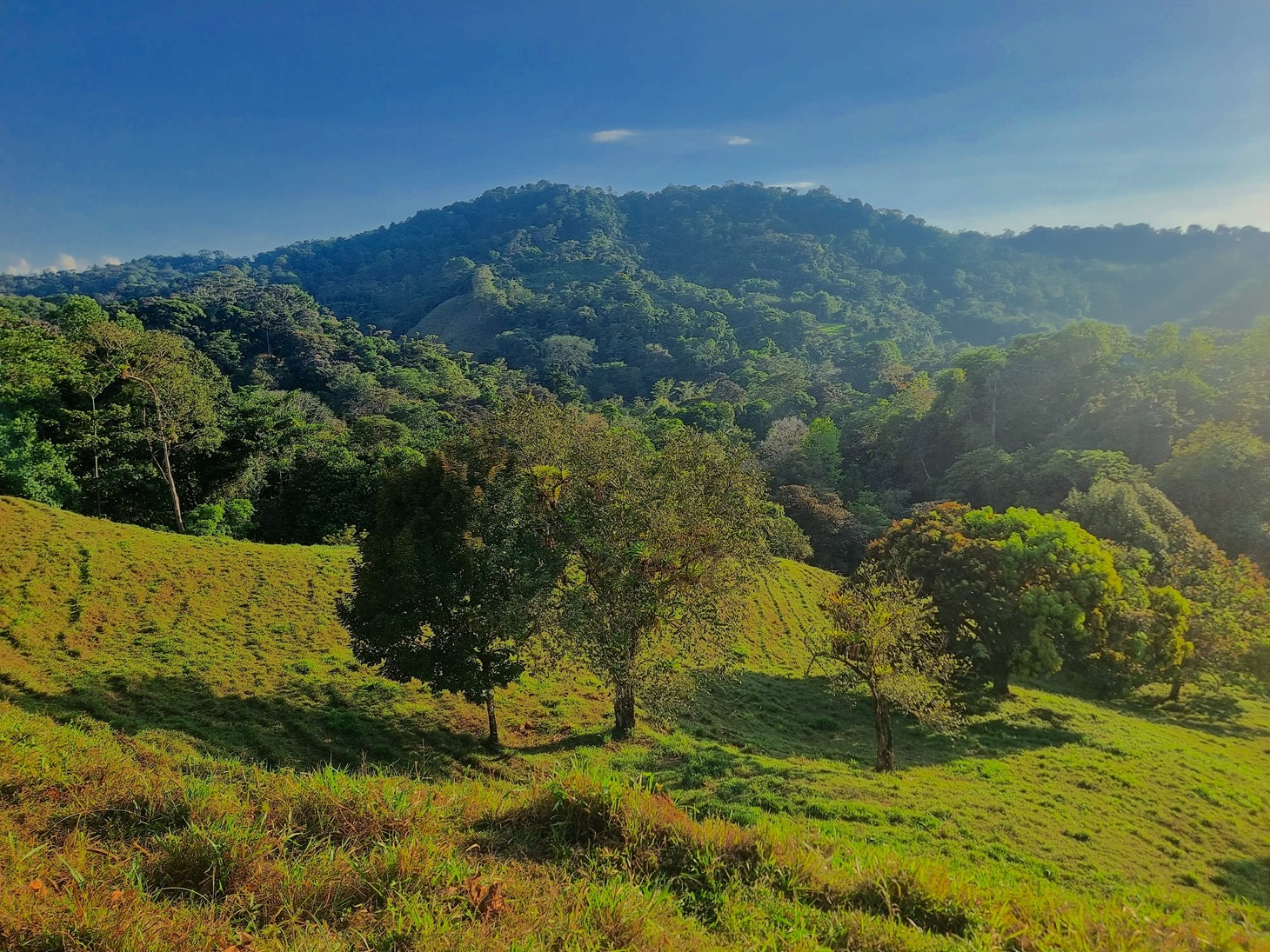 0 bed Land For Sale in Ojochal, Puntarenas - thumb 5