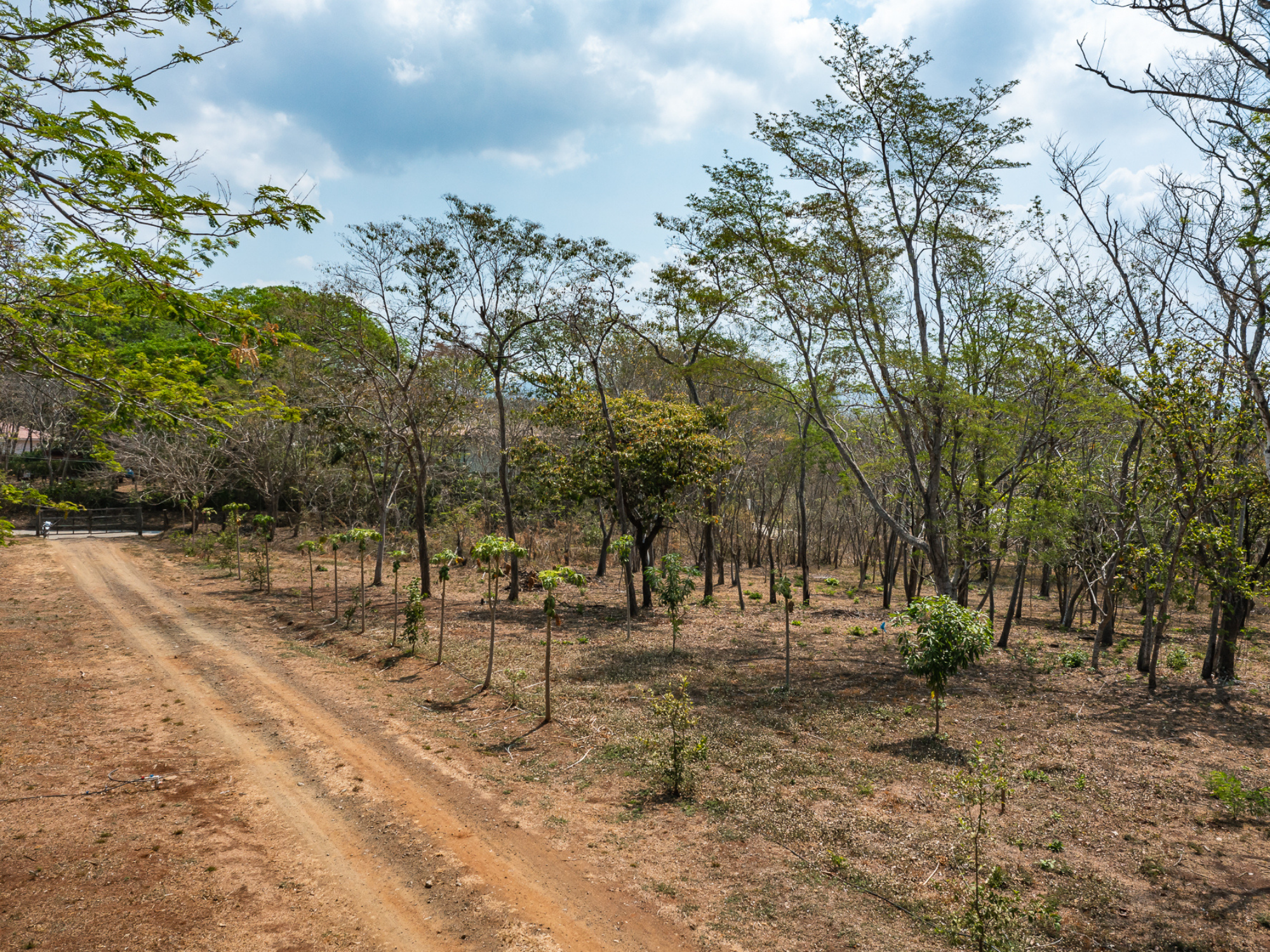 0 bed Land For Sale in Playa Negra, Guanacaste - thumb 27