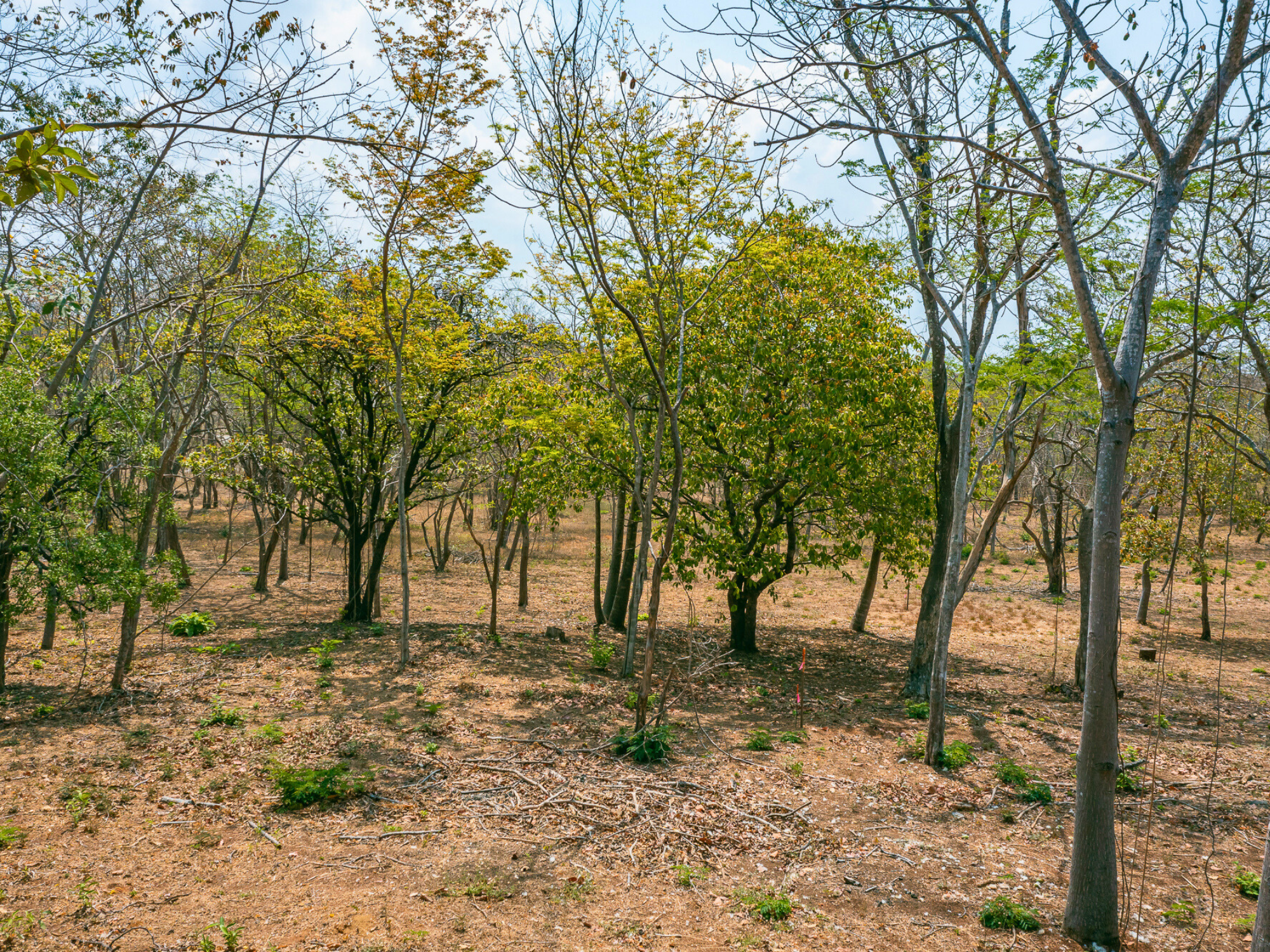 0 bed Land For Sale in Playa Negra, Guanacaste - thumb 13