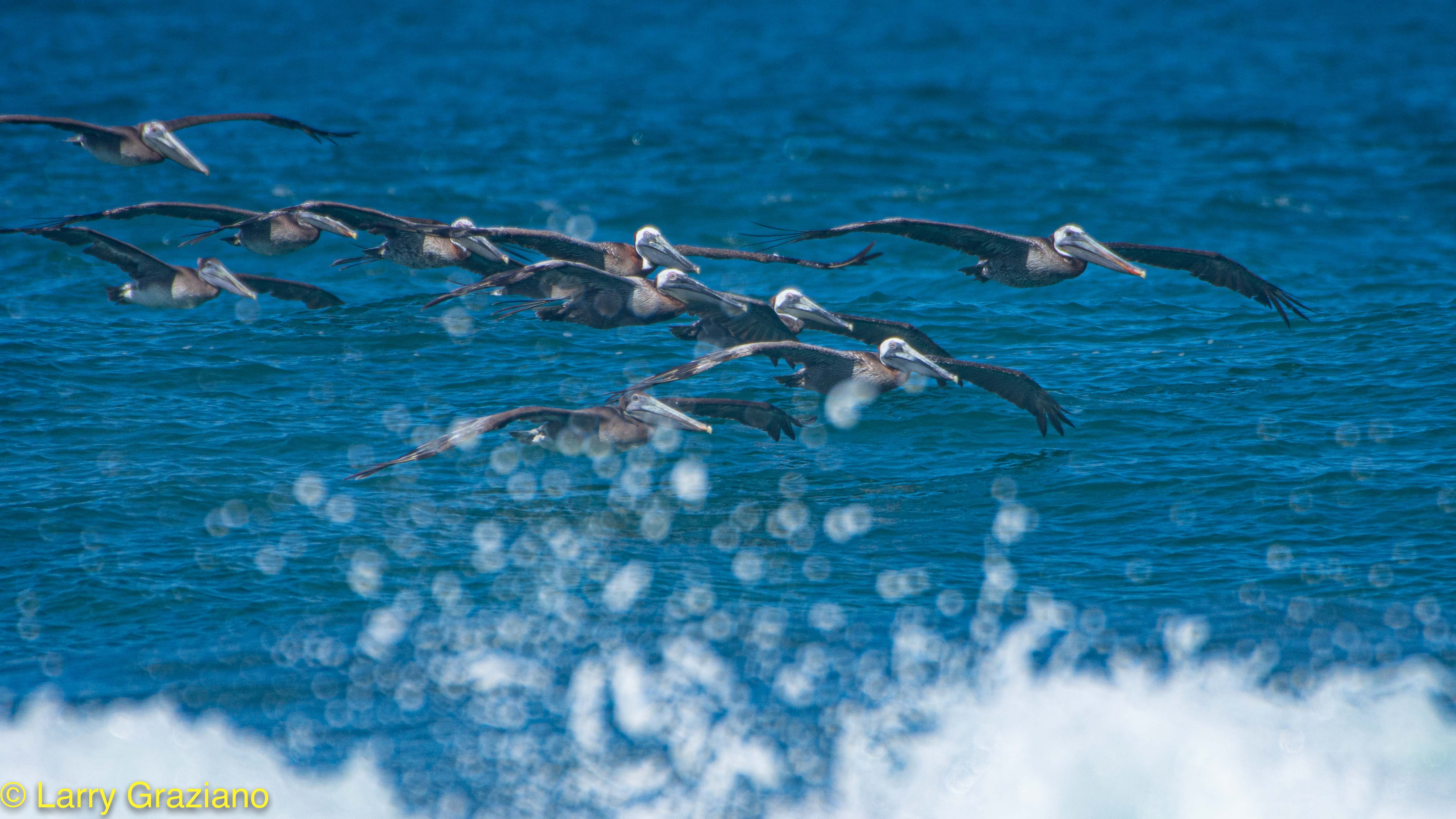 0 bed Land For Sale in Playa Negra, Guanacaste - thumb 18