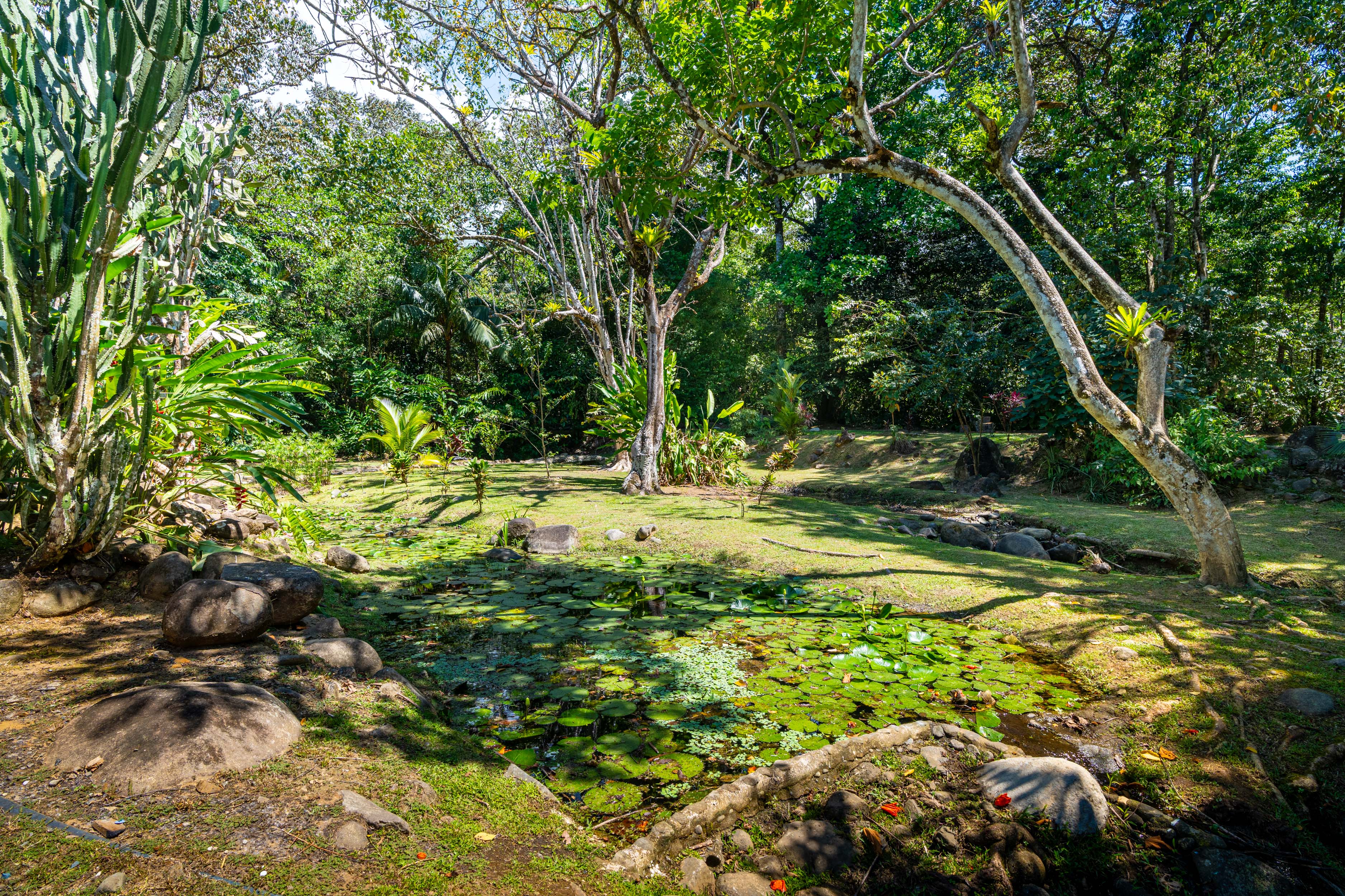 6 bed Single Family Homes For Sale in Ojochal, Puntarenas - thumb 24