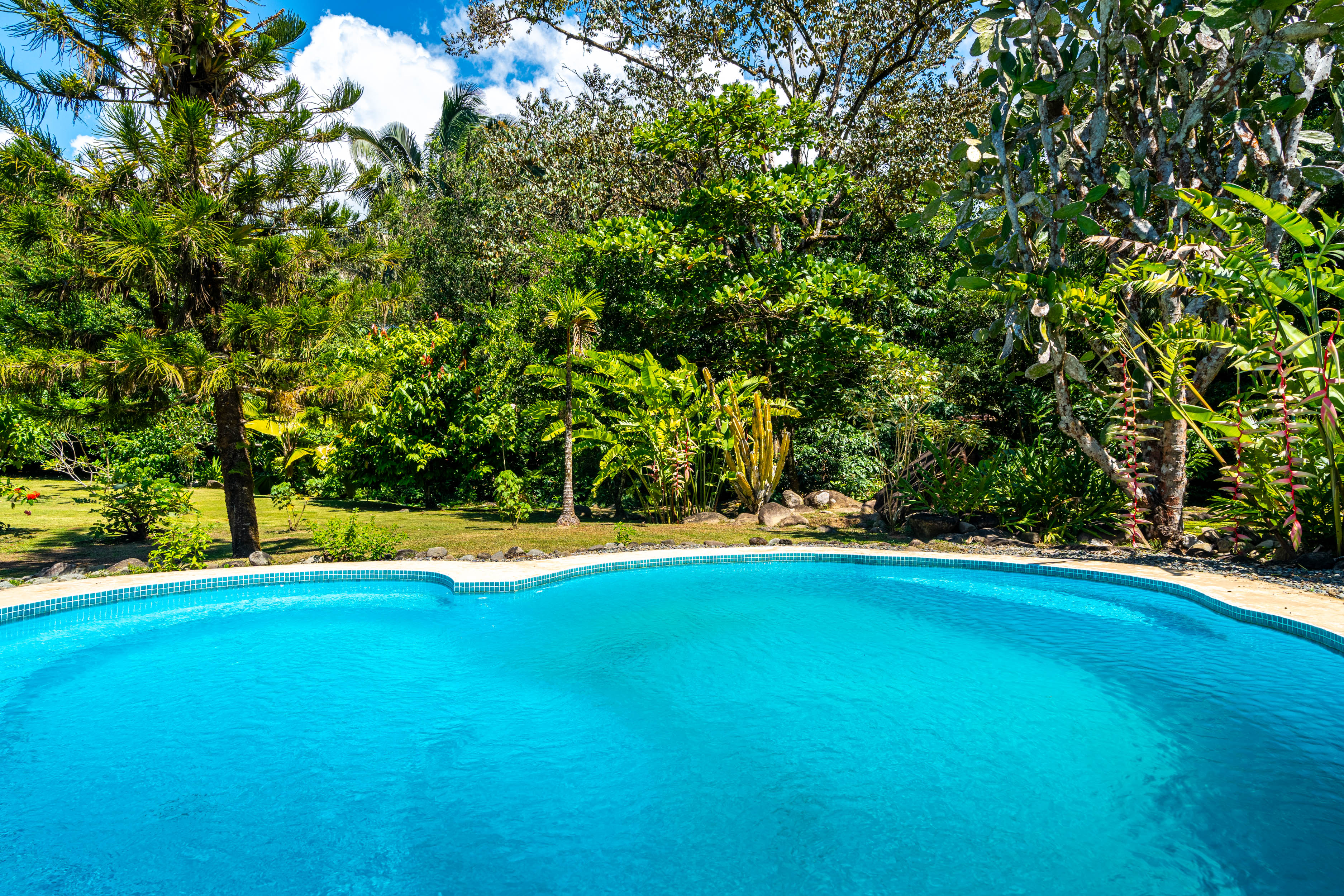 6 bed Single Family Homes For Sale in Ojochal, Puntarenas - thumb 22