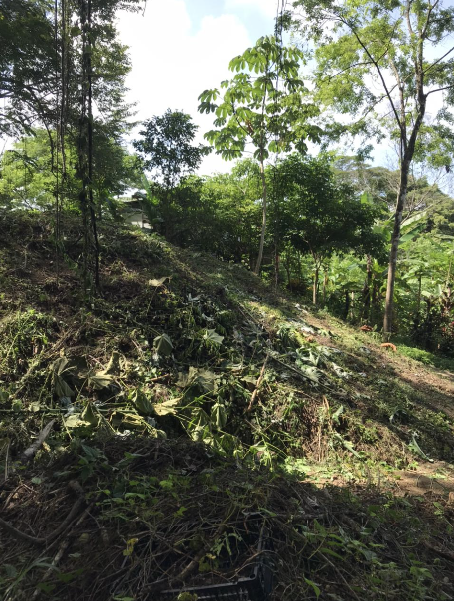 0 bed Land For Sale in Playa Hermosa Santa Teresa, Puntarenas - thumb 2