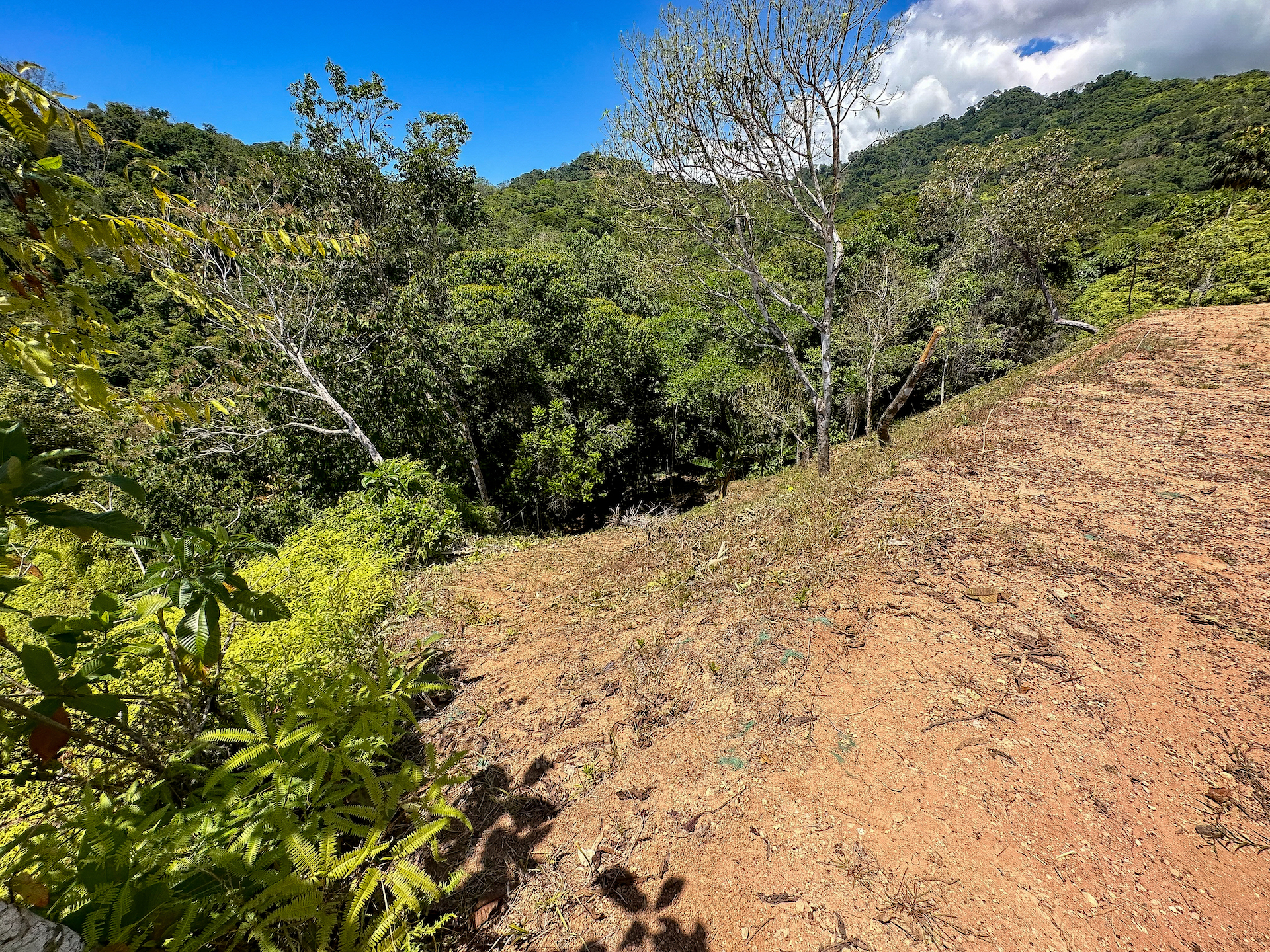 0 bed Land For Sale in Ojochal, Puntarenas - thumb 14