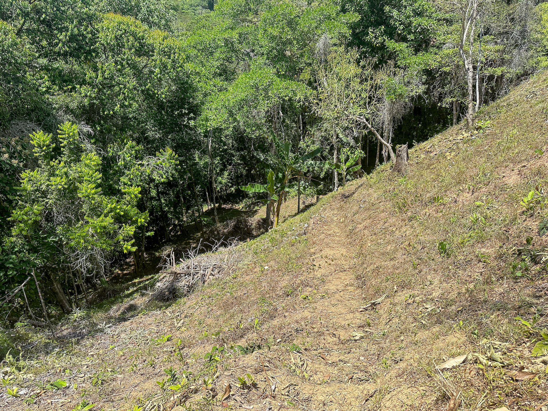 0 bed Land For Sale in Ojochal, Puntarenas - thumb 15