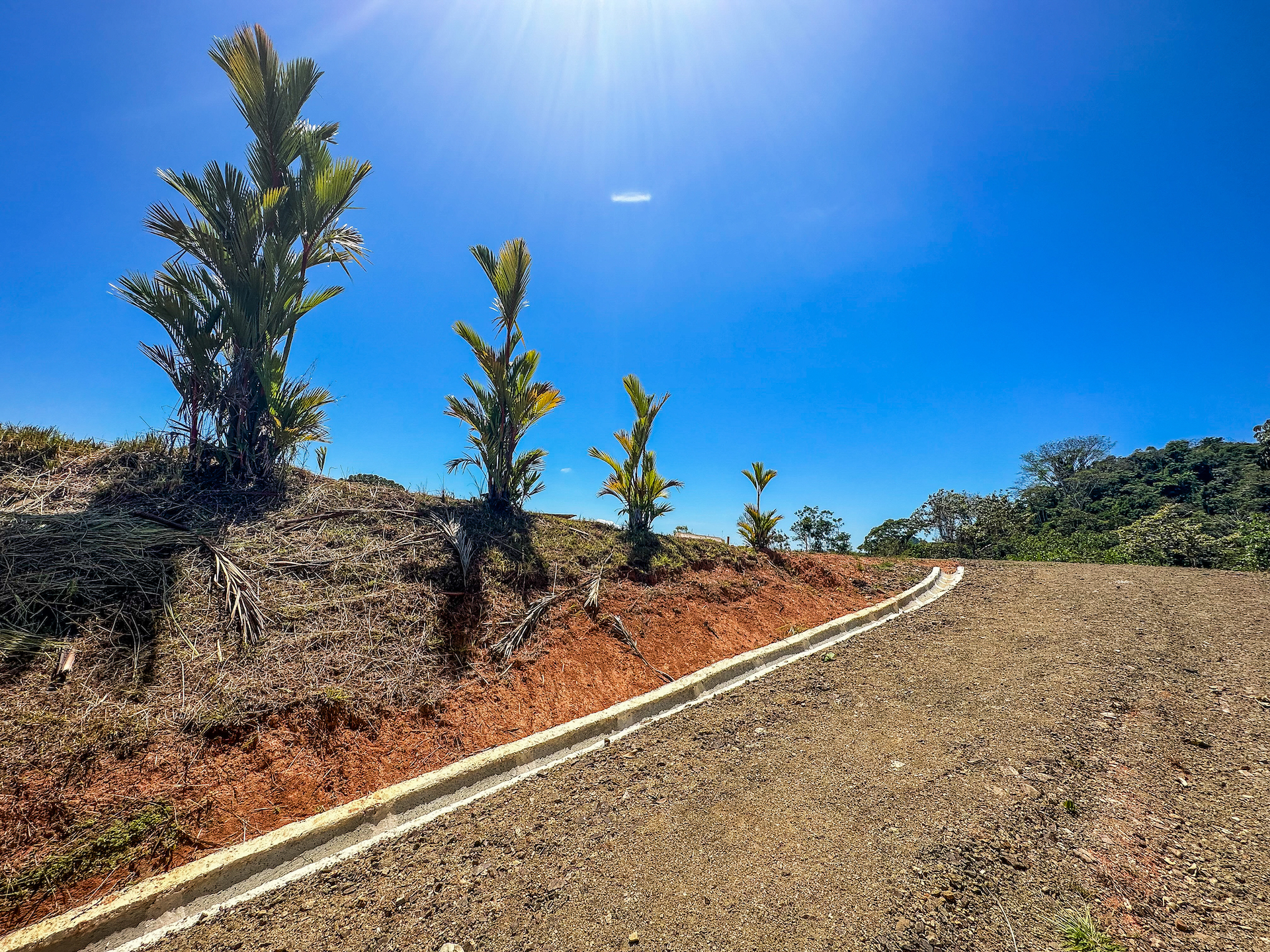 0 bed Land For Sale in Ojochal, Puntarenas - thumb 21