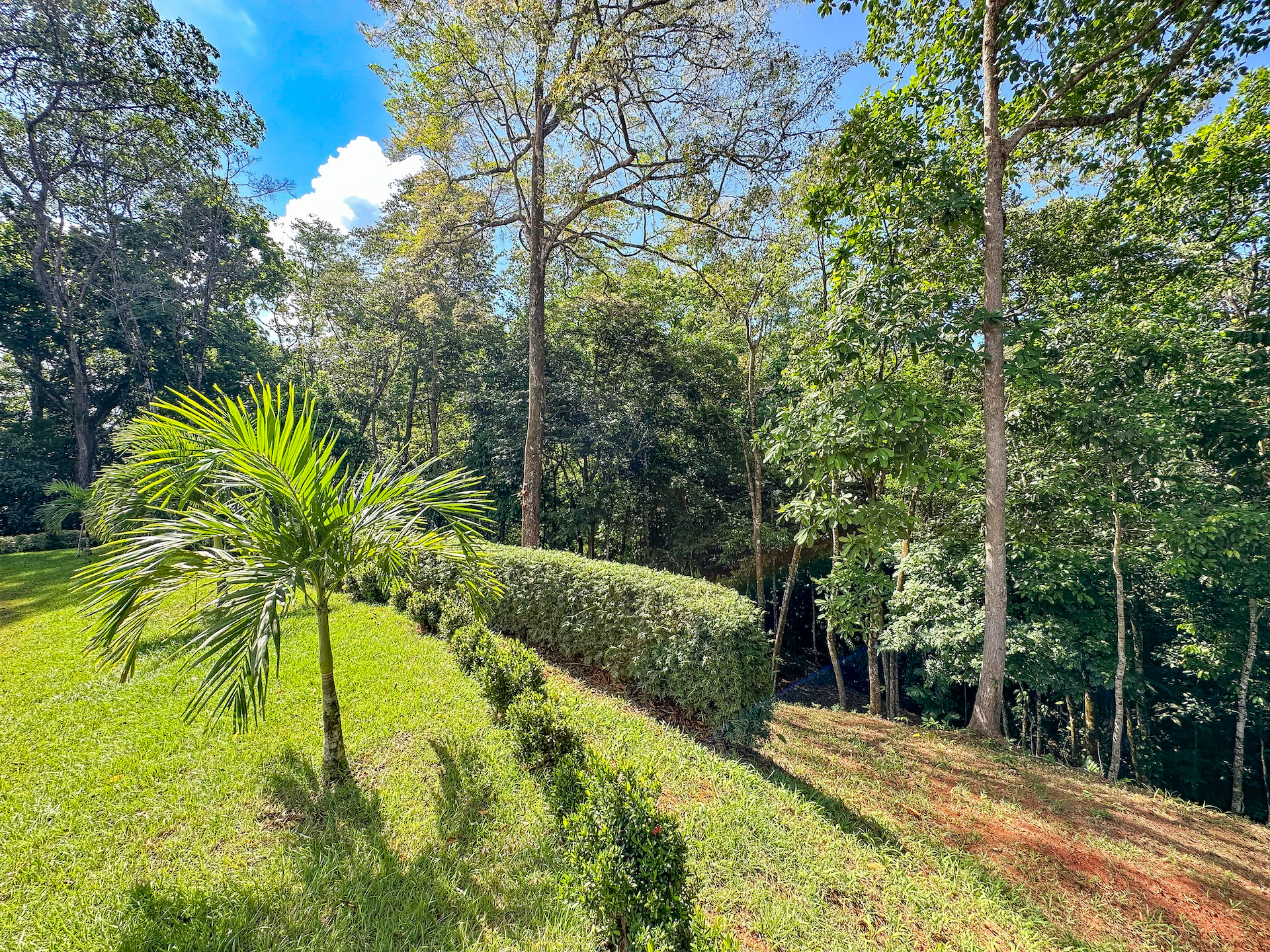 0 bed Land For Sale in Ojochal, Puntarenas - thumb 21