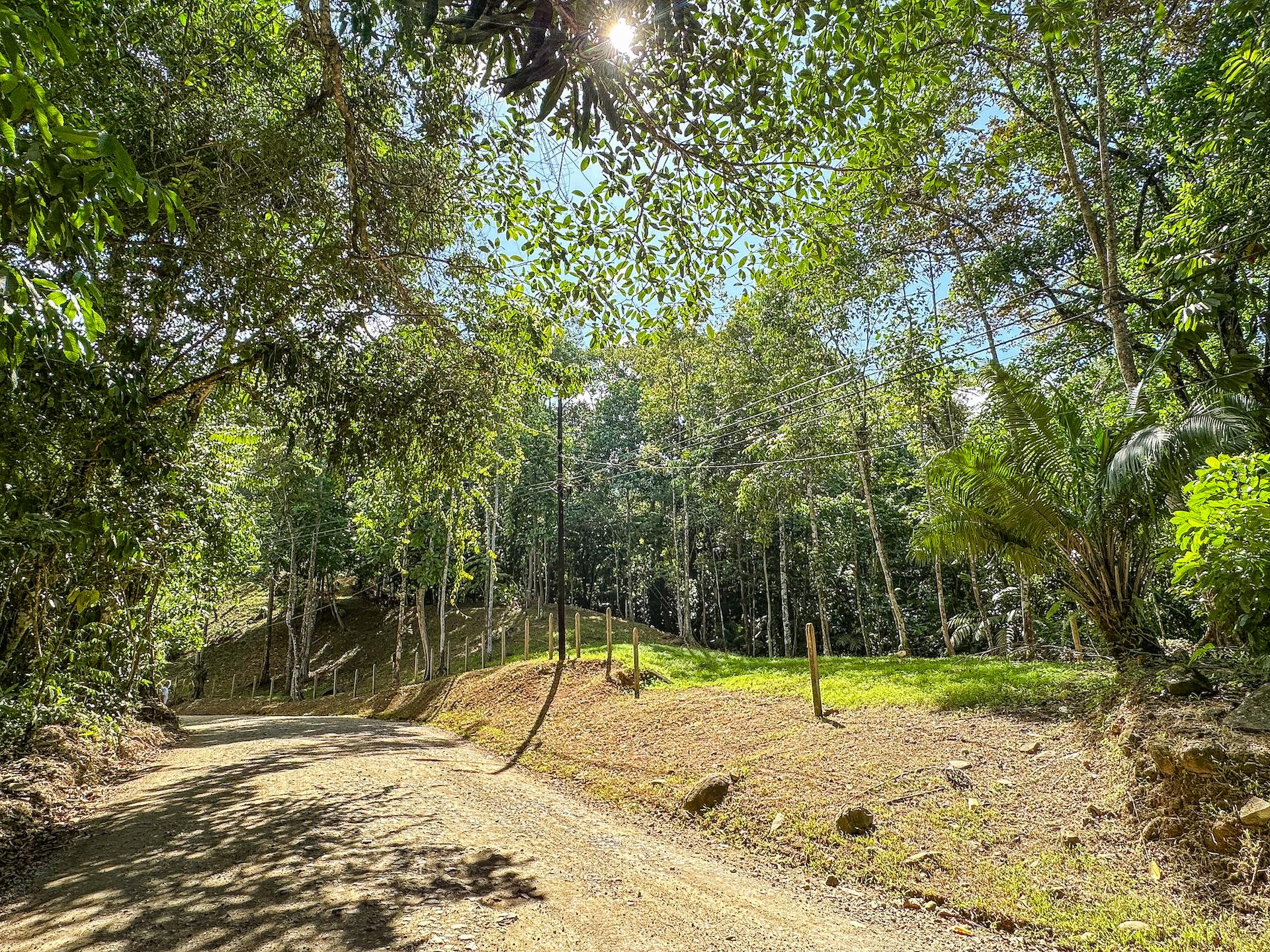 0 bed Land For Sale in Ojochal, Puntarenas - thumb 8