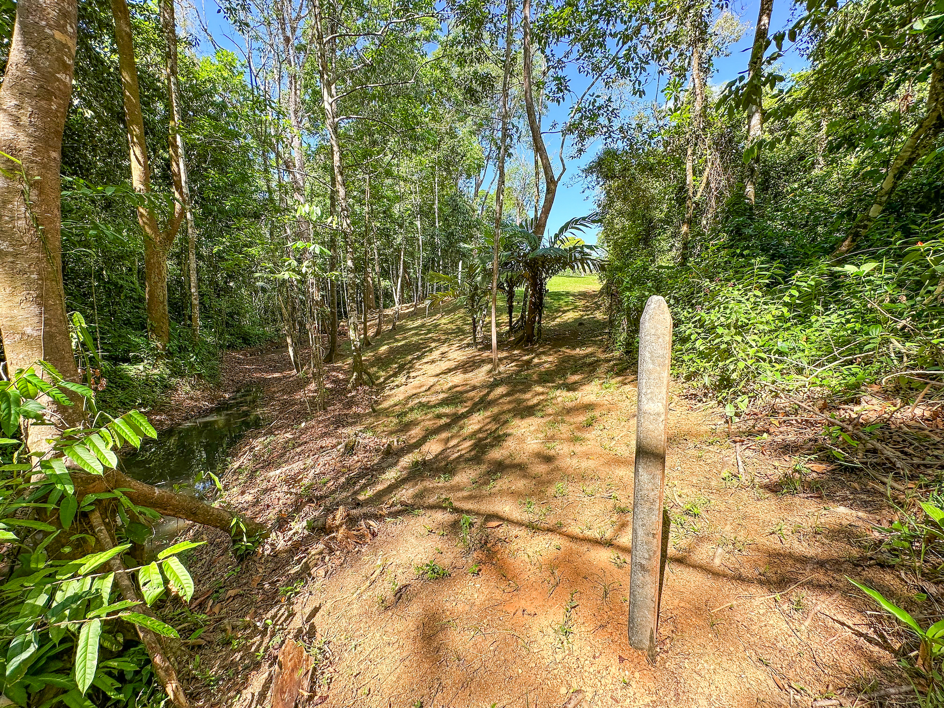 0 bed Land For Sale in Ojochal, Puntarenas - thumb 14