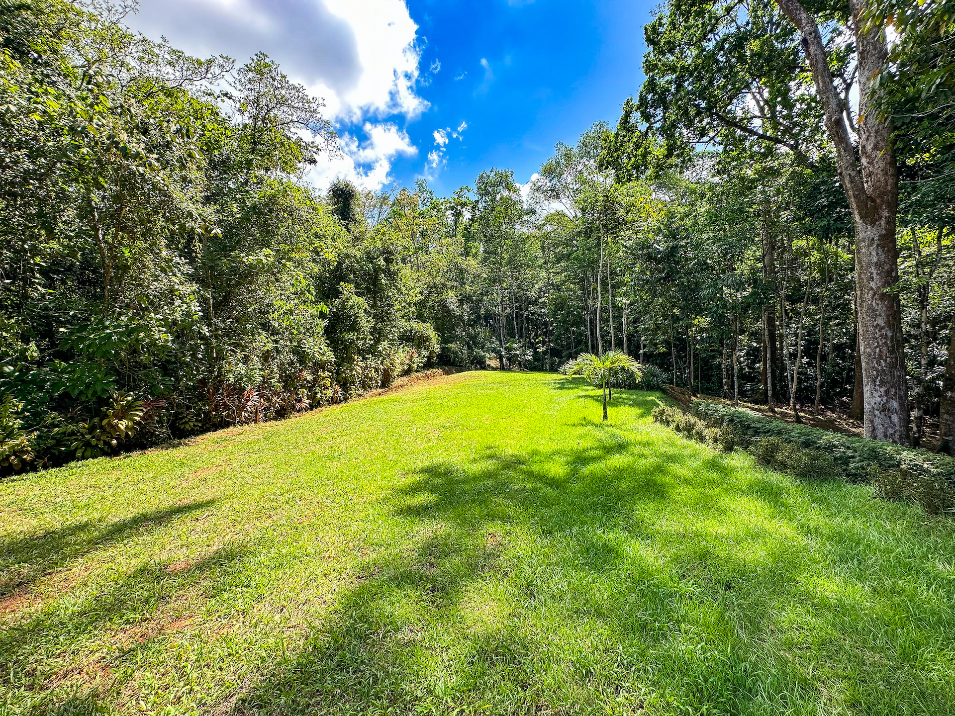 0 bed Land For Sale in Ojochal, Puntarenas - thumb 23