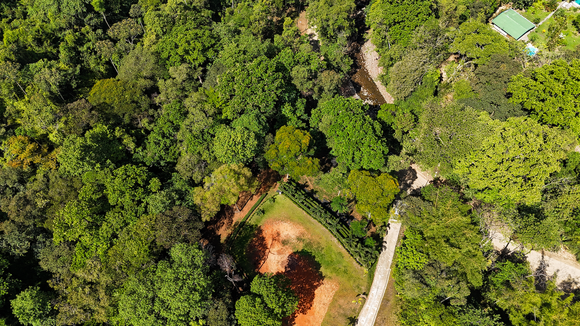 0 bed Land For Sale in Ojochal, Puntarenas - thumb 4