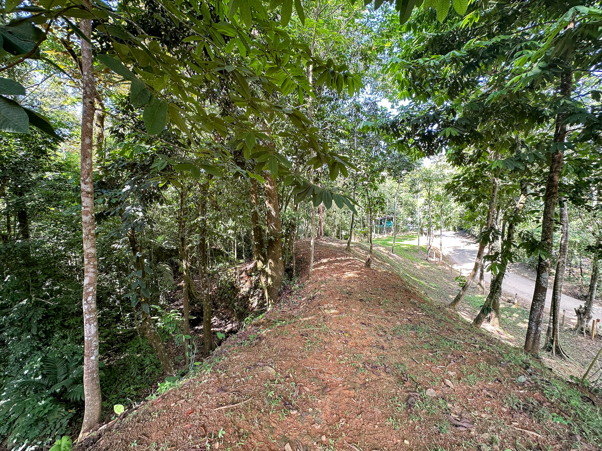 0 bed Land For Sale in Ojochal, Puntarenas - thumb 12