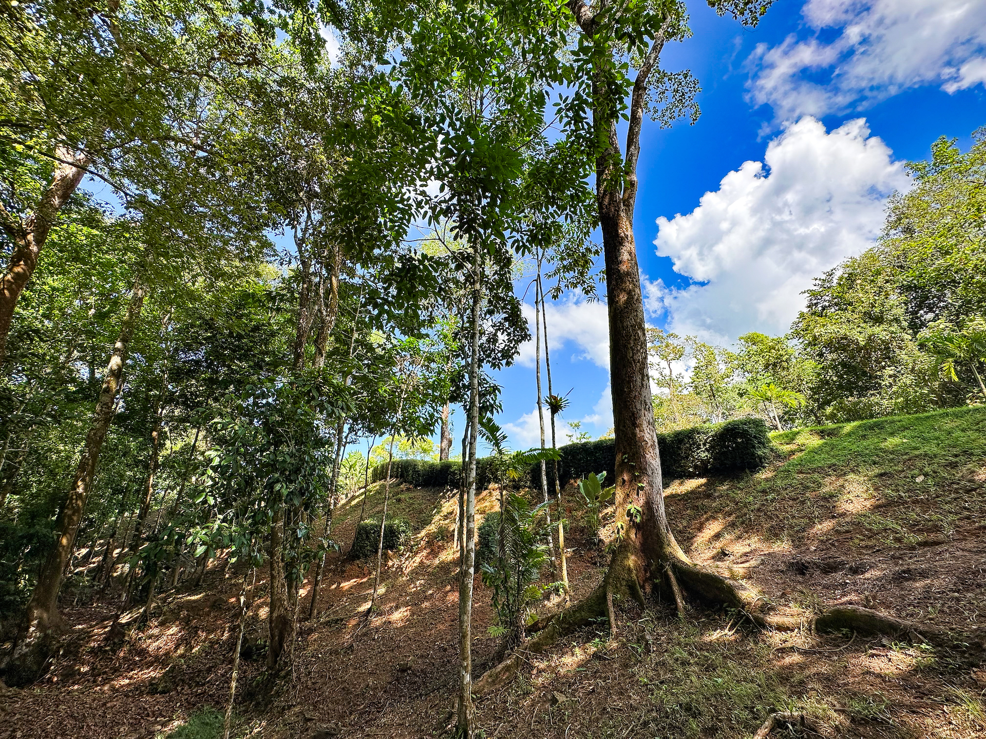 0 bed Land For Sale in Ojochal, Puntarenas - thumb 16