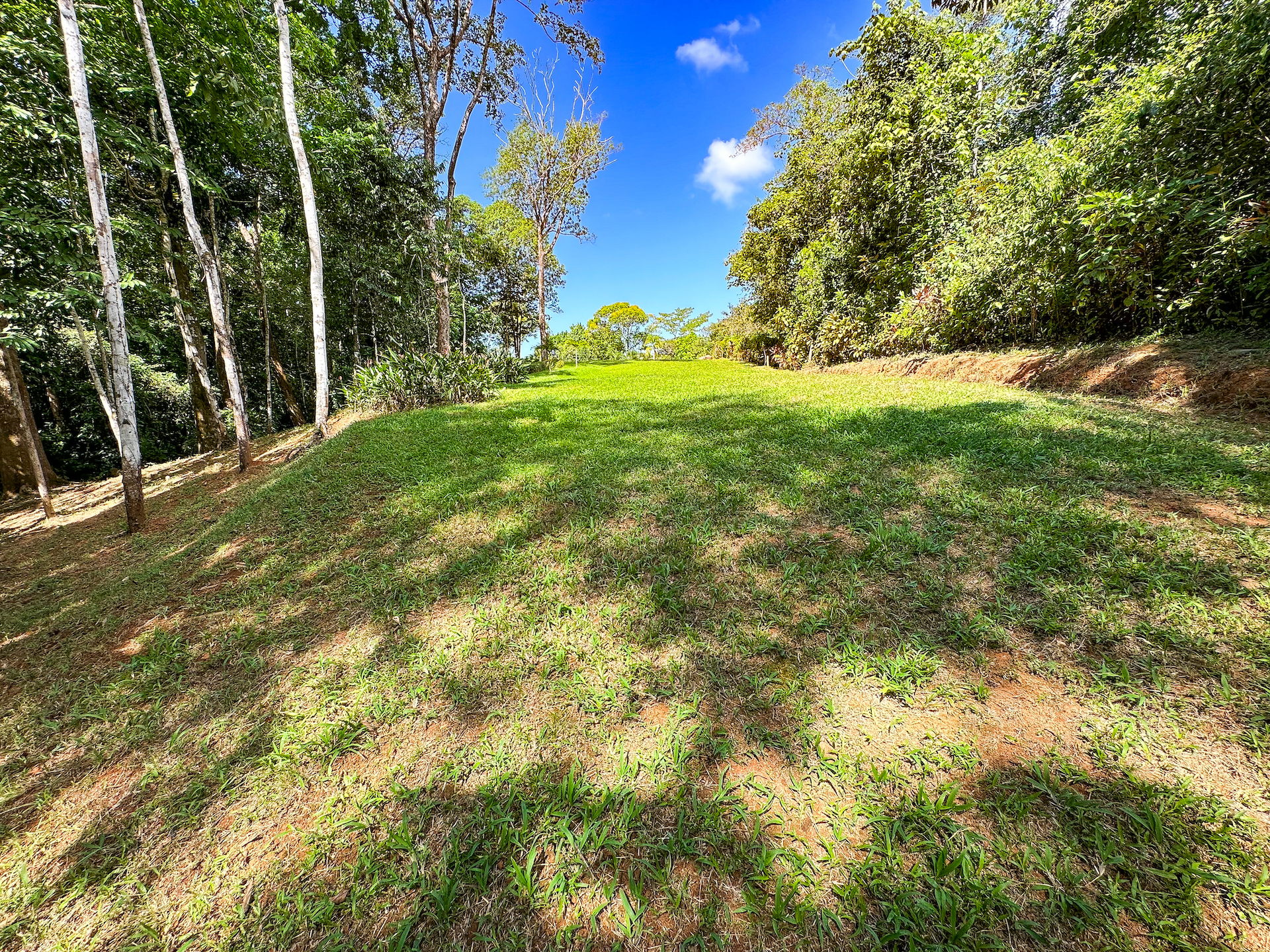 0 bed Land For Sale in Ojochal, Puntarenas - thumb 26